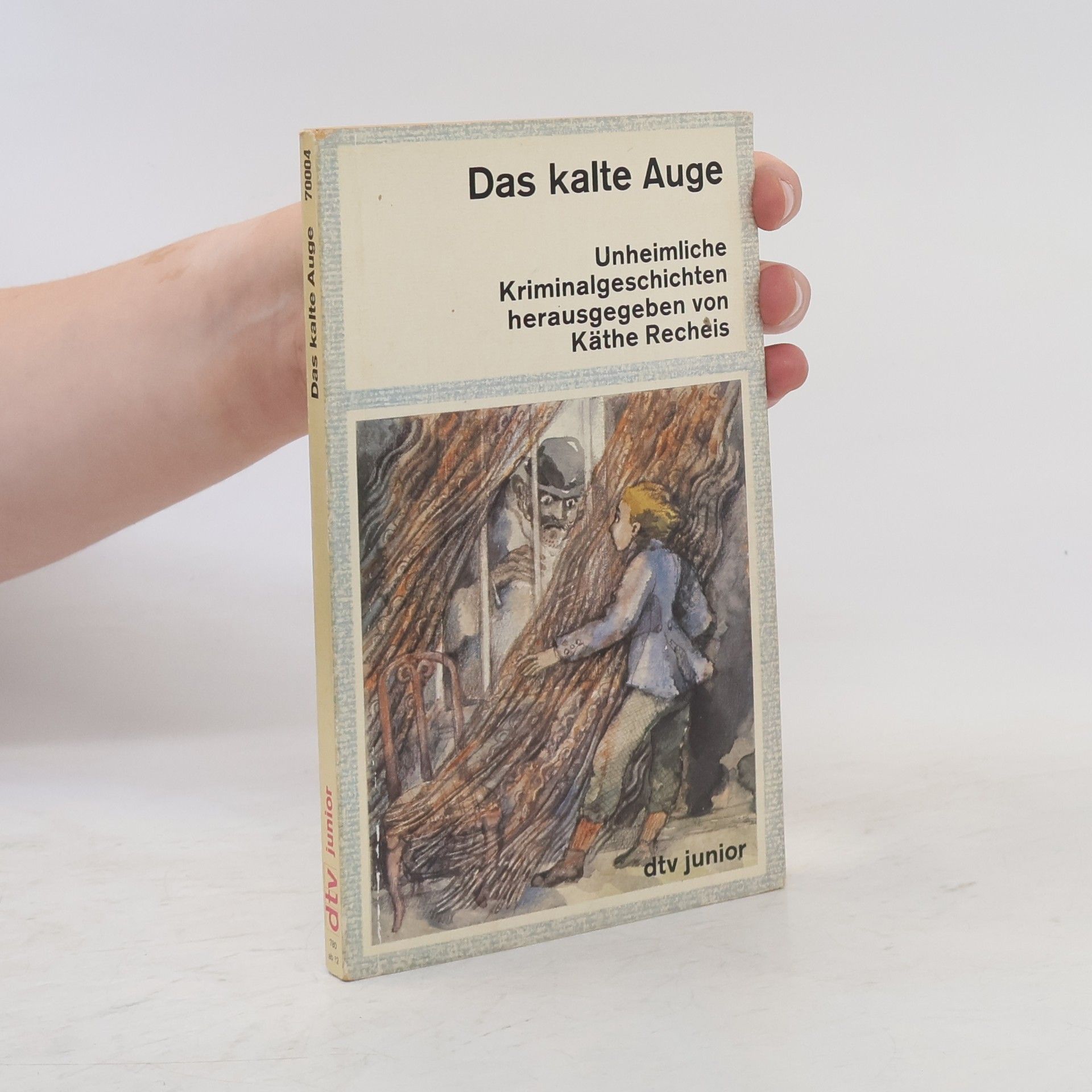 Käthe Recheis Das kalte Auge