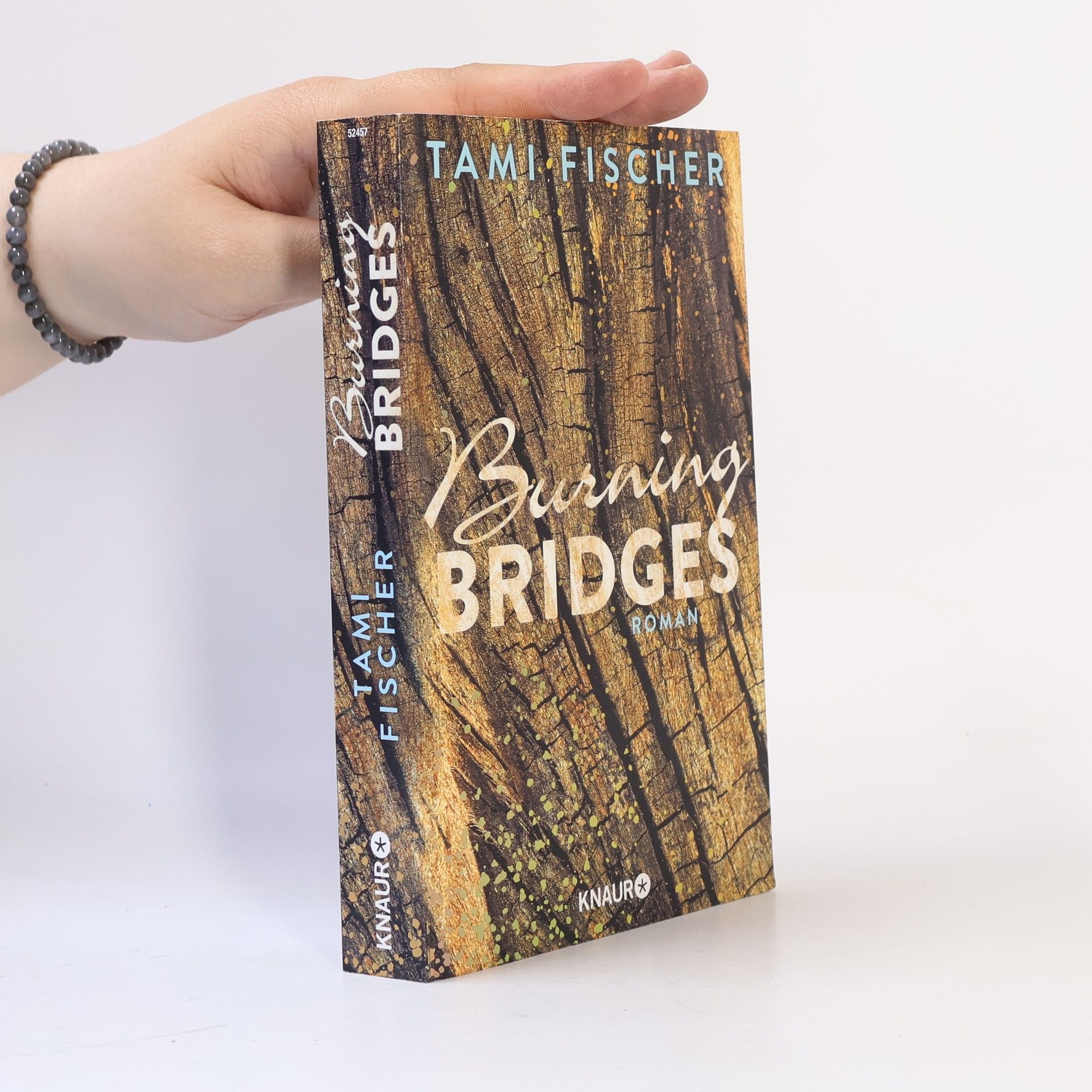 Tami Fischer Burning bridges