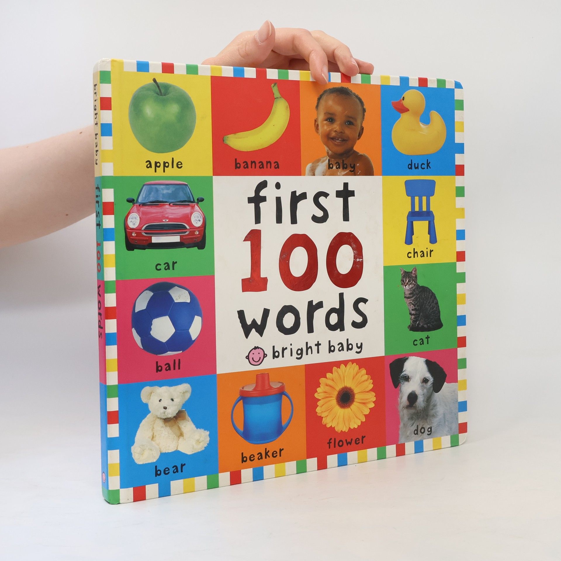 Priddy Books First 100 Words