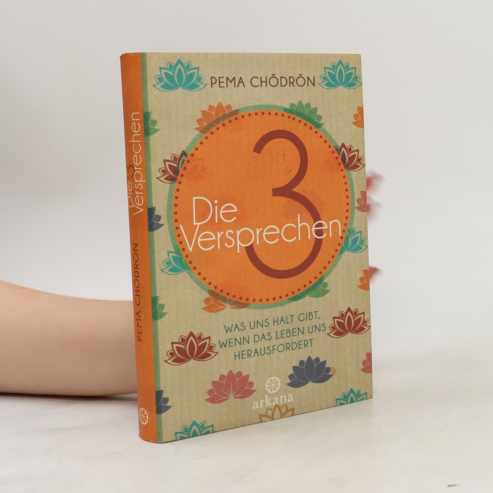 Pema Chödrön Die 3 Versprechen