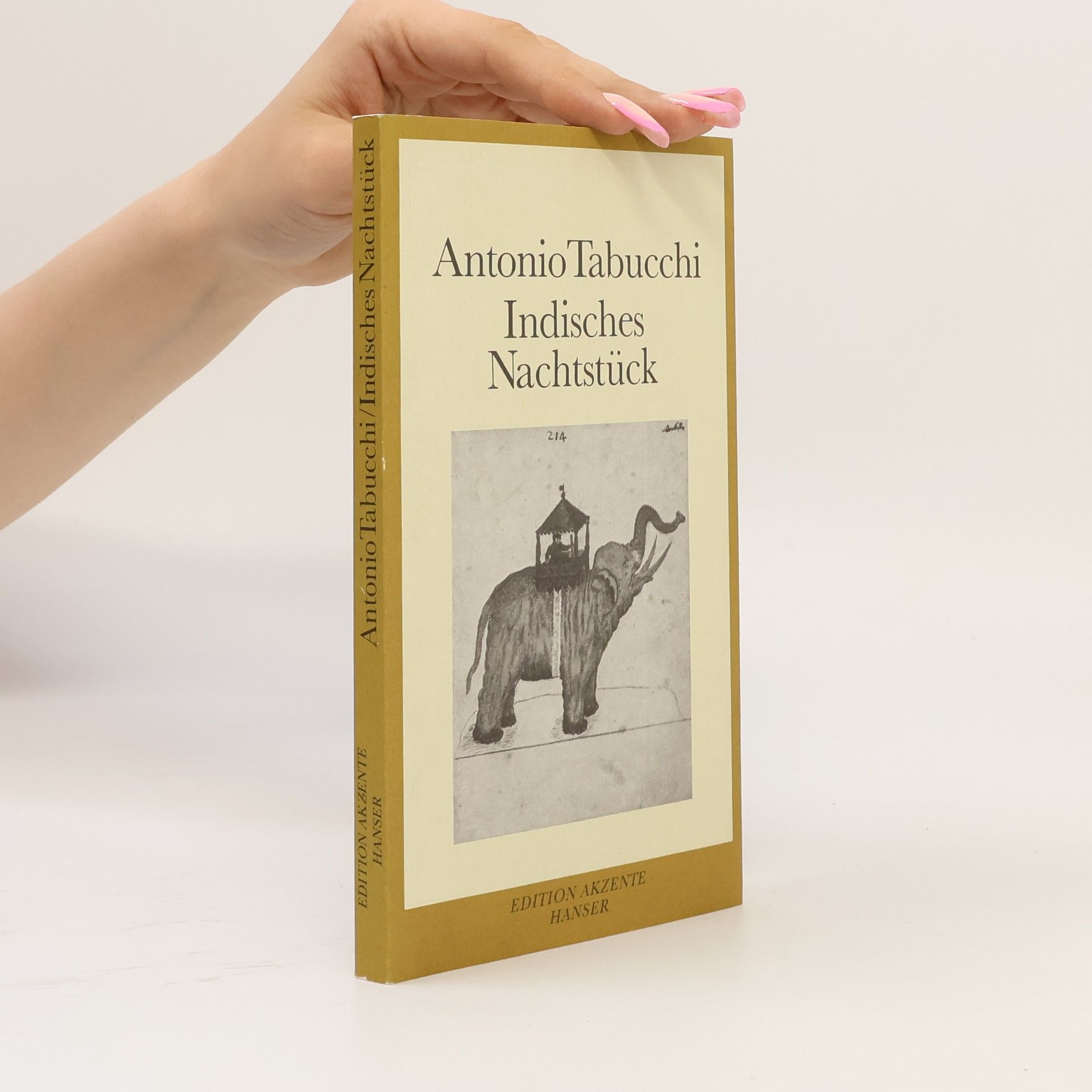 Antonio Tabucchi Indisches Nachtstück