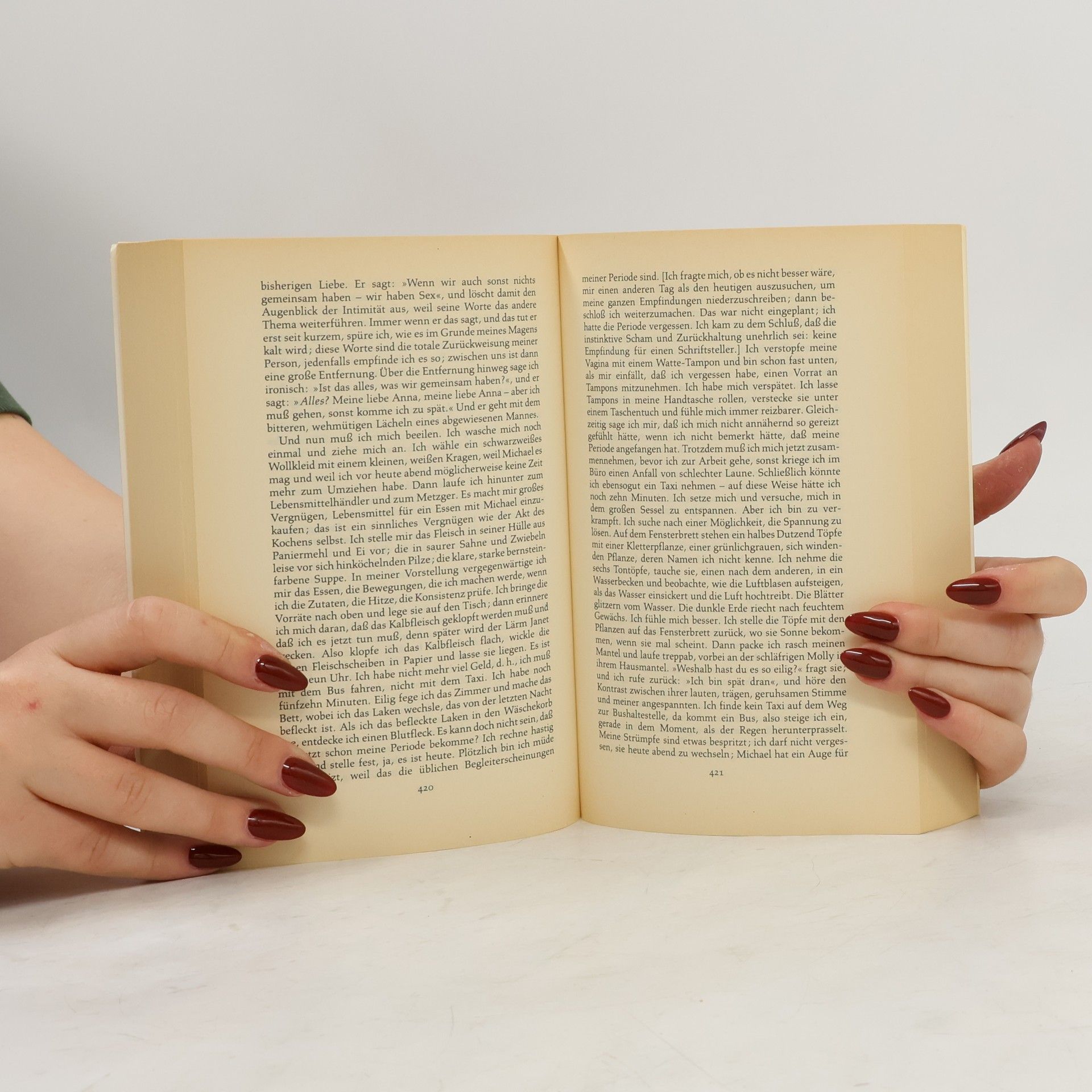 Doris Lessing Das goldene Notizbuch