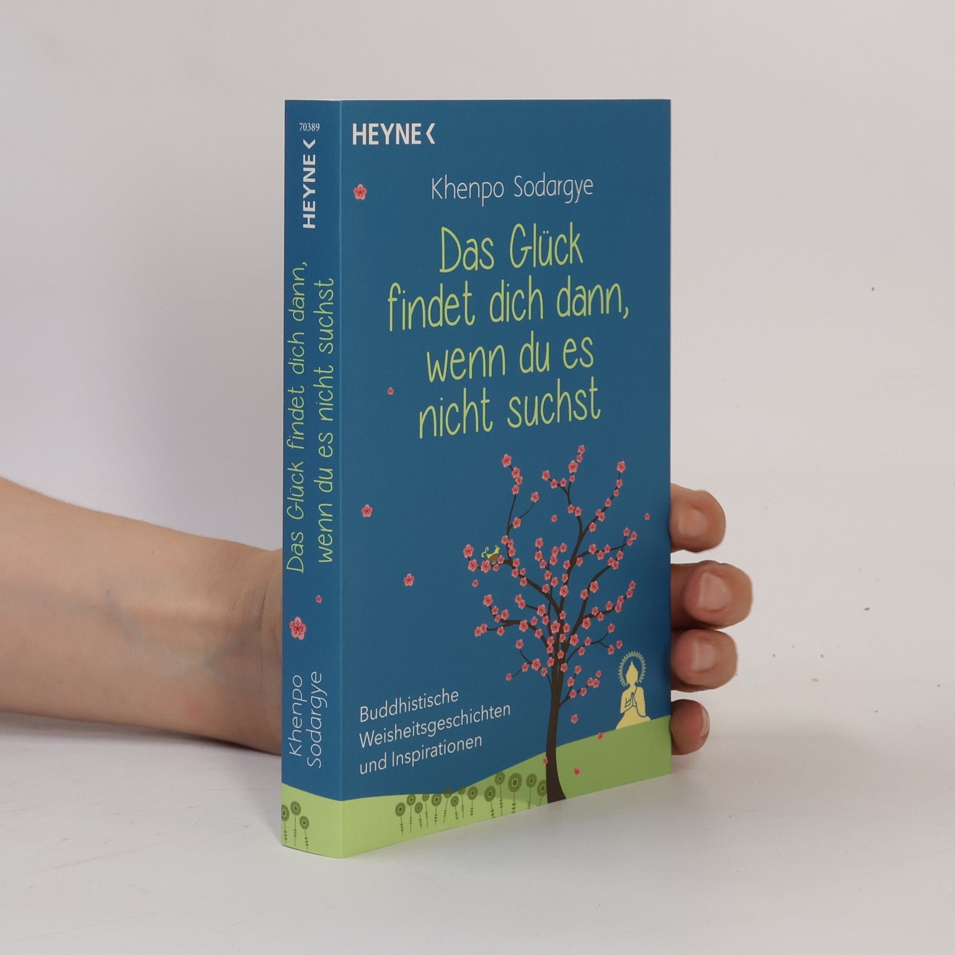 Khenpo Sodargye Das Glück findet dich dann, wenn du es nicht suchst