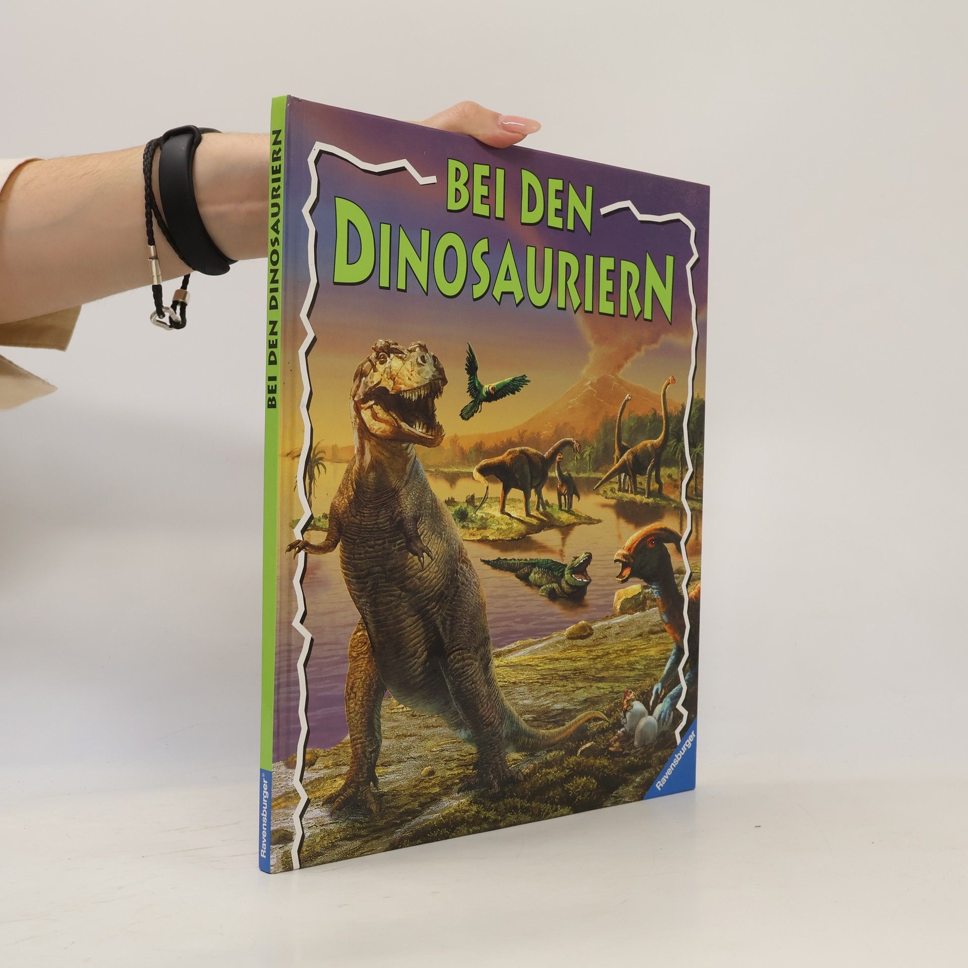 Bei den Dinosauriern