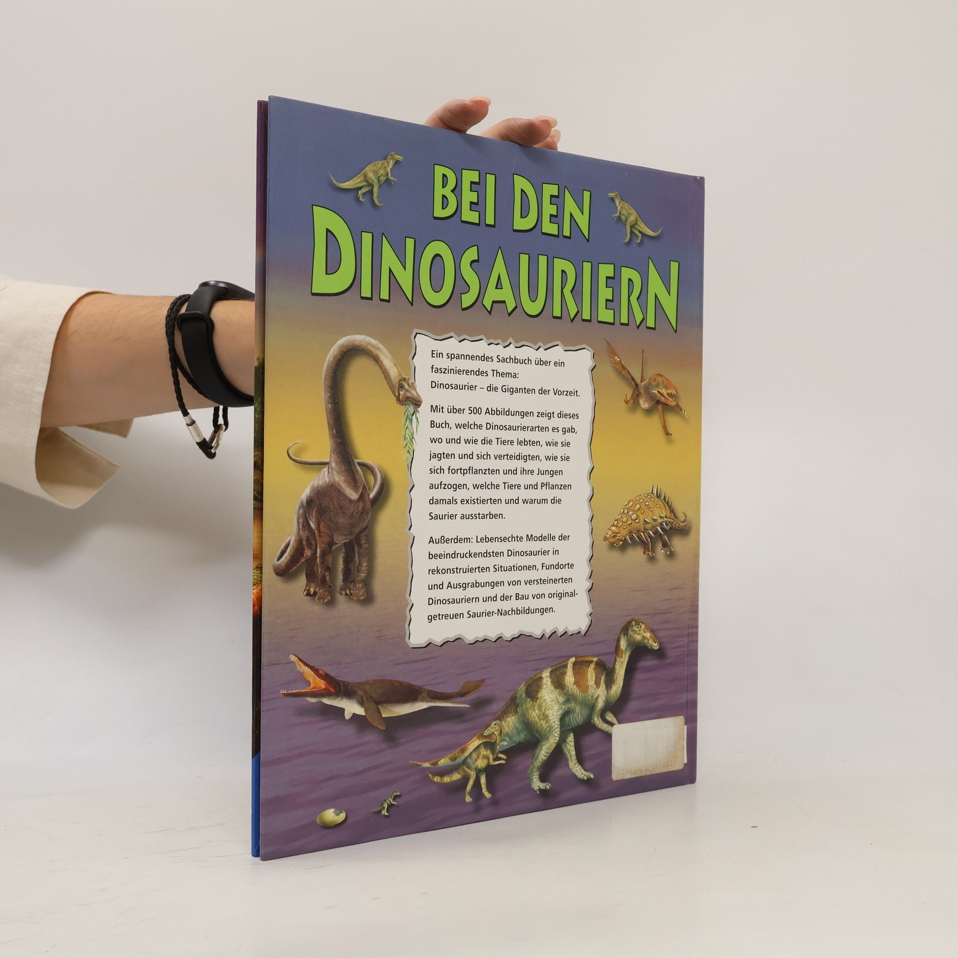 Ralph-Michael Schmidt Bei den Dinosauriern