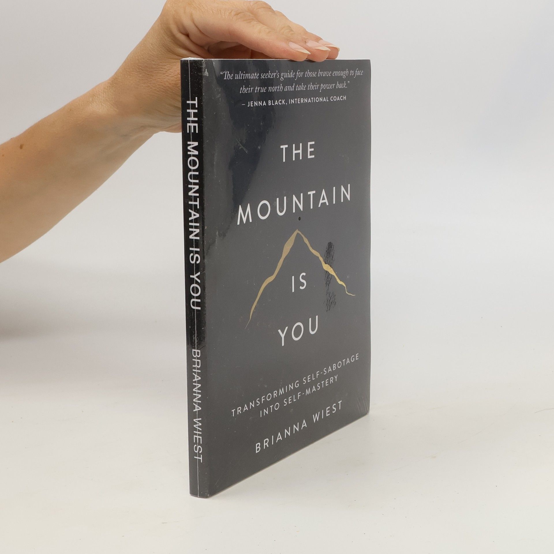 Brianna Wiest The Mountain Is You