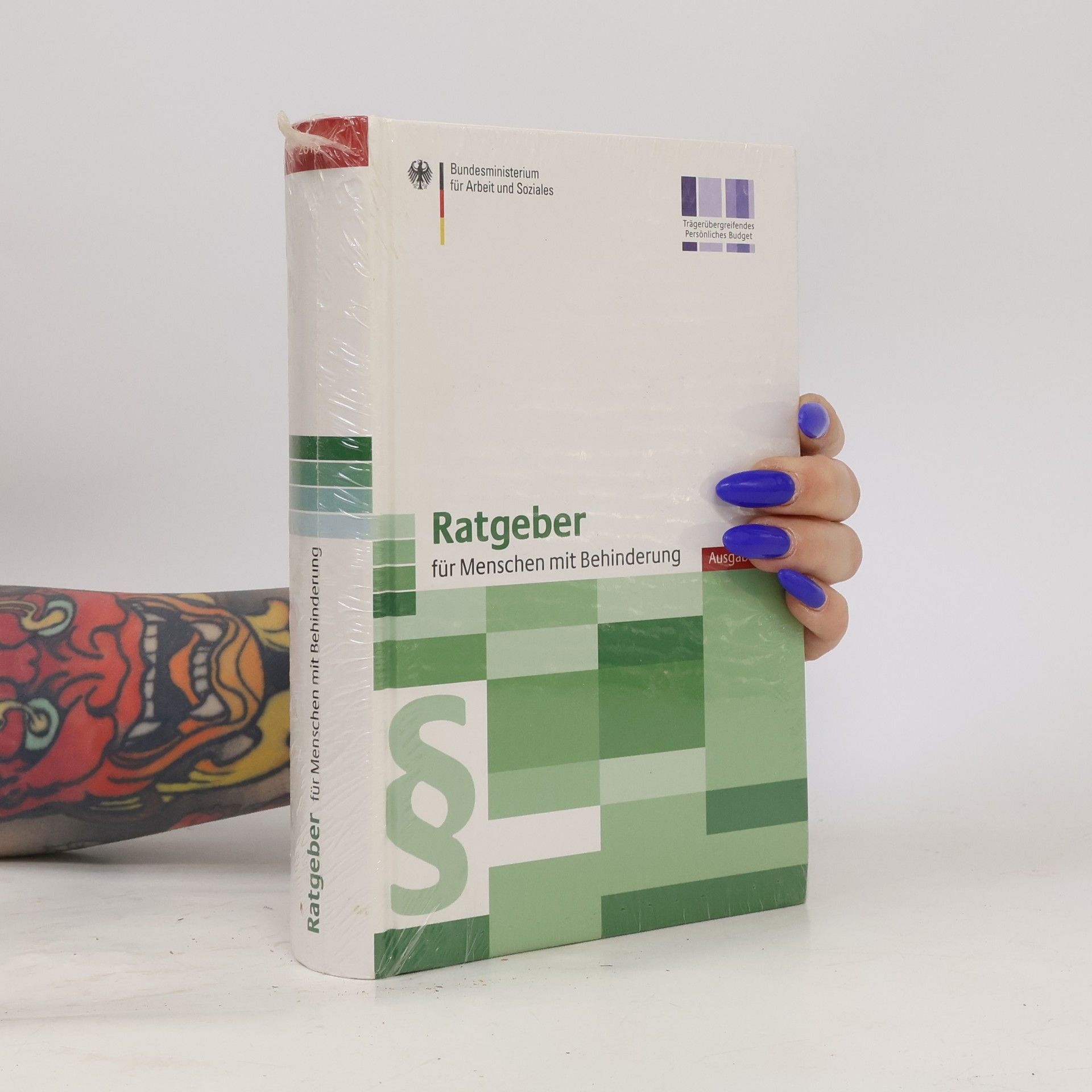 Various authors Ratgeber für Menschen mit Behinderung