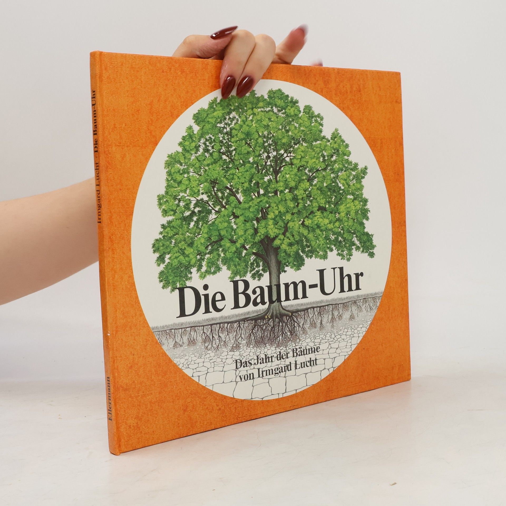Irmgard Lucht Die Baum-Uhr