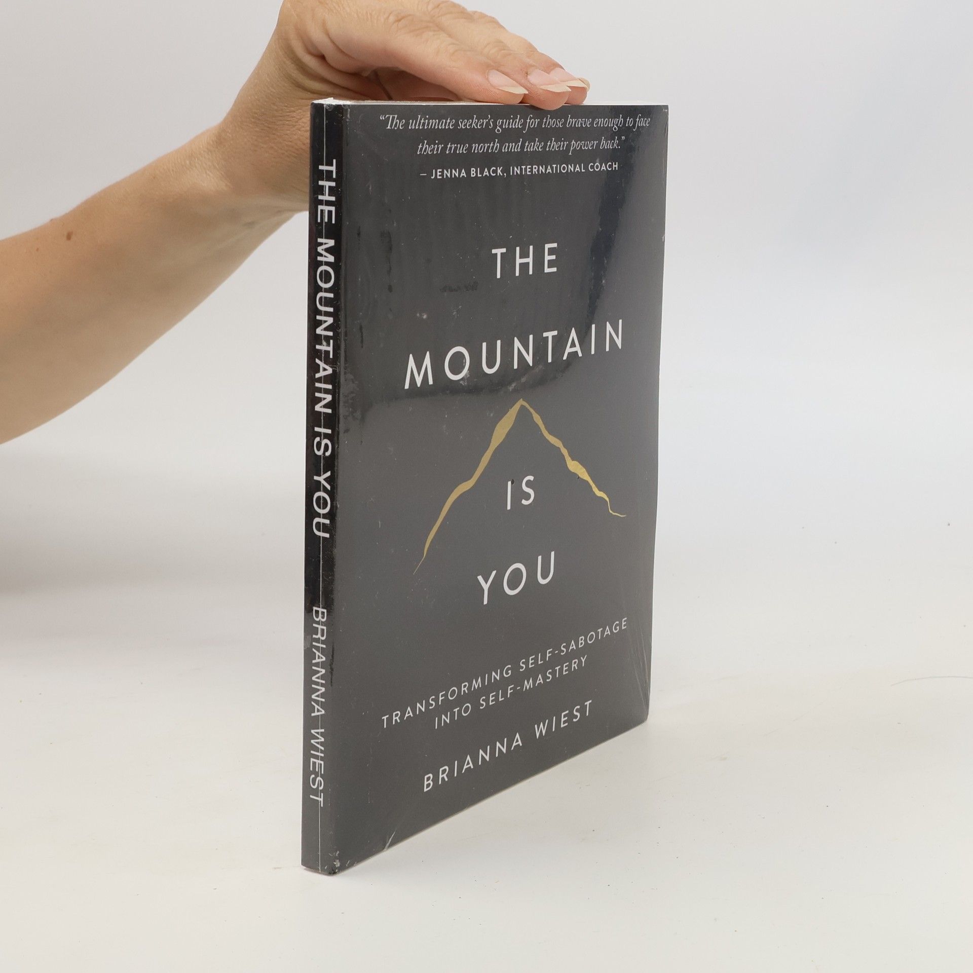 Brianna Wiest The Mountain Is You
