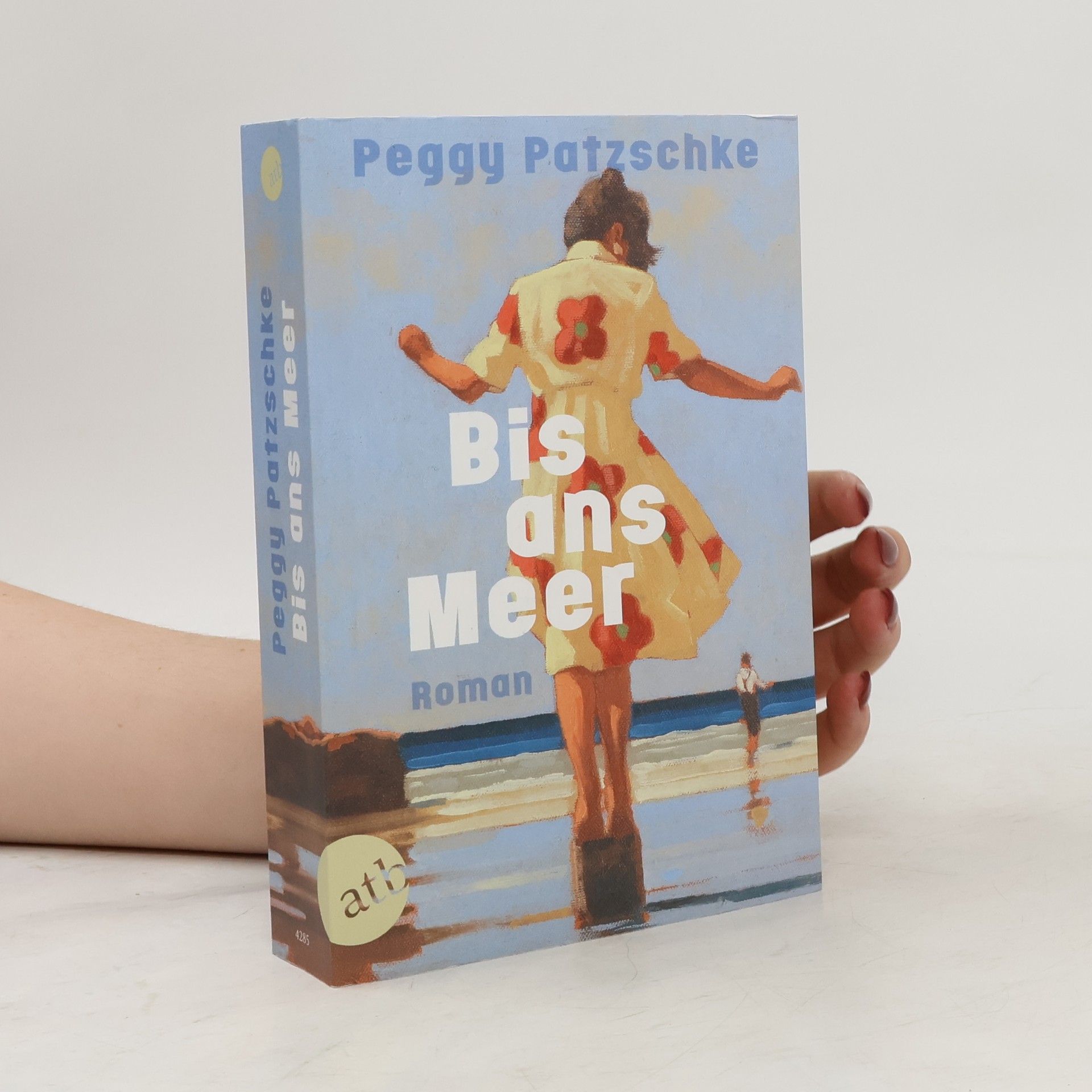 Peggy Patzschke Bis ans Meer: Roman