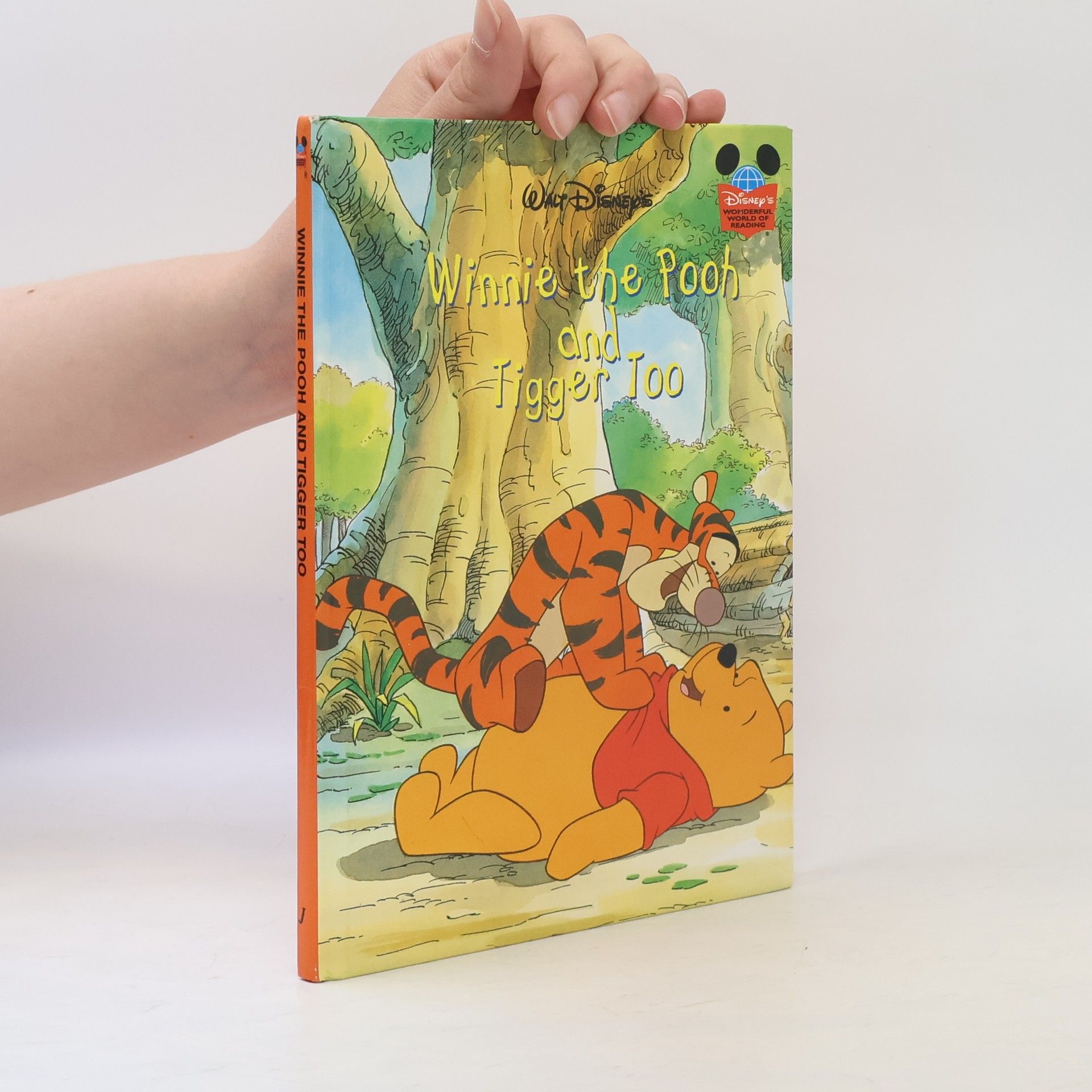 Kolektiv autorů Winnie the Pooh and Tigger Too