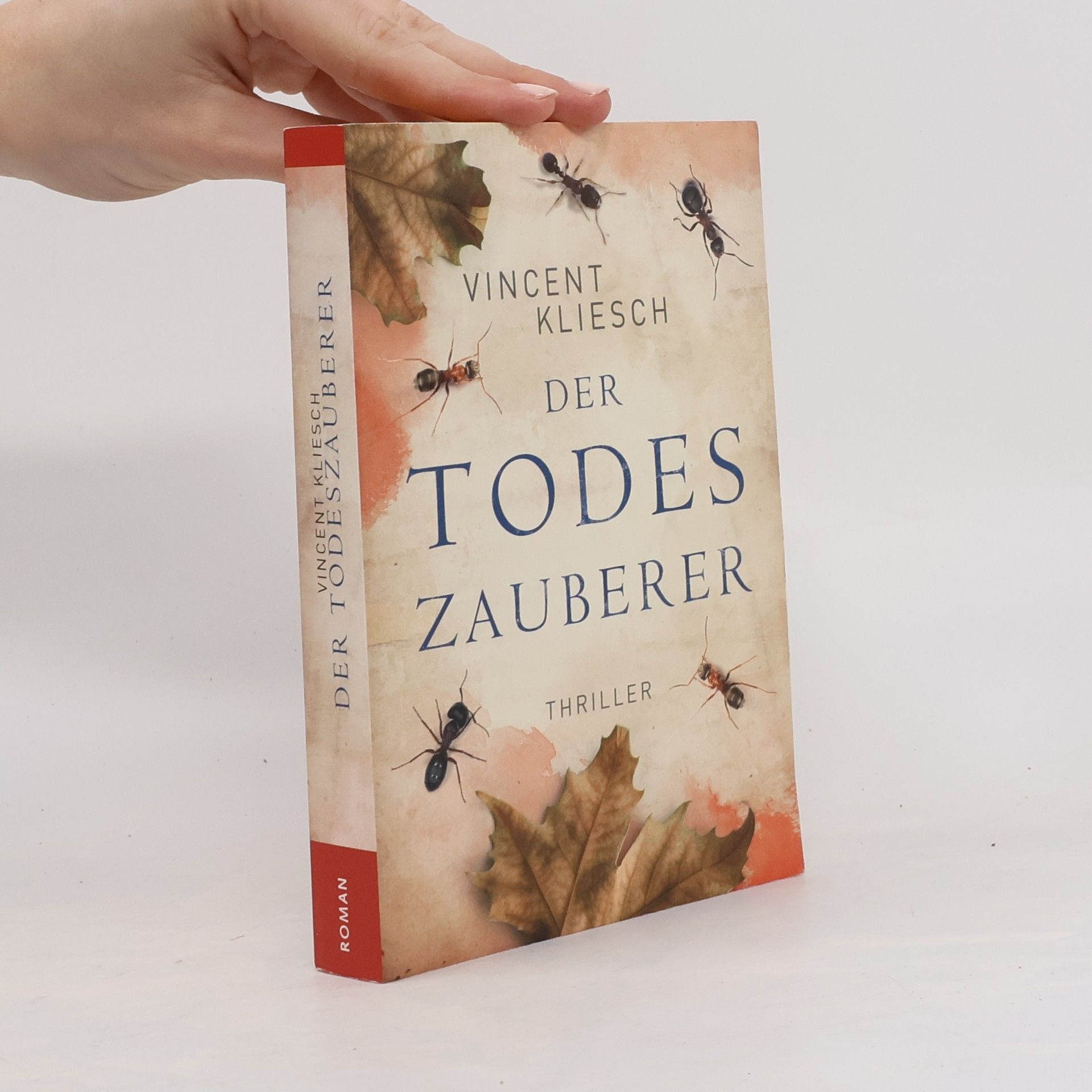 Vincent Kleisch Der Todeszauberer