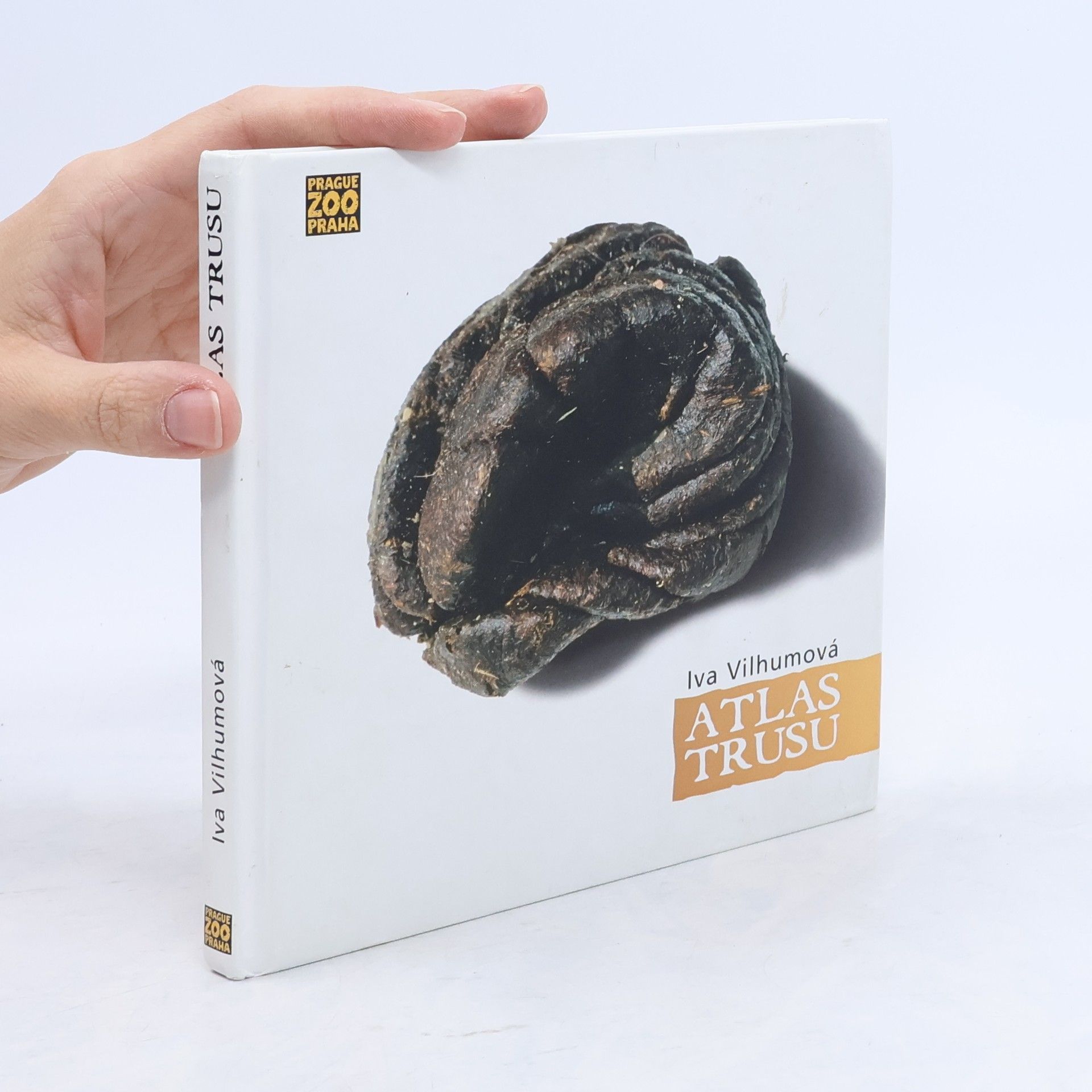 Iva Vilhumová Atlas trusu