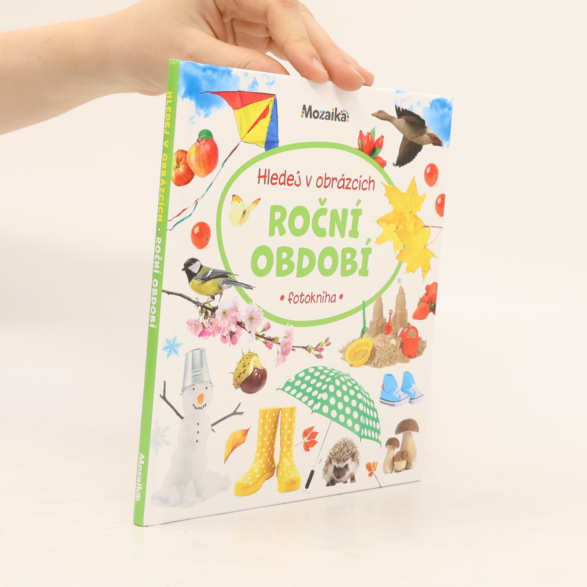 Autores varios Roční období : fotokniha