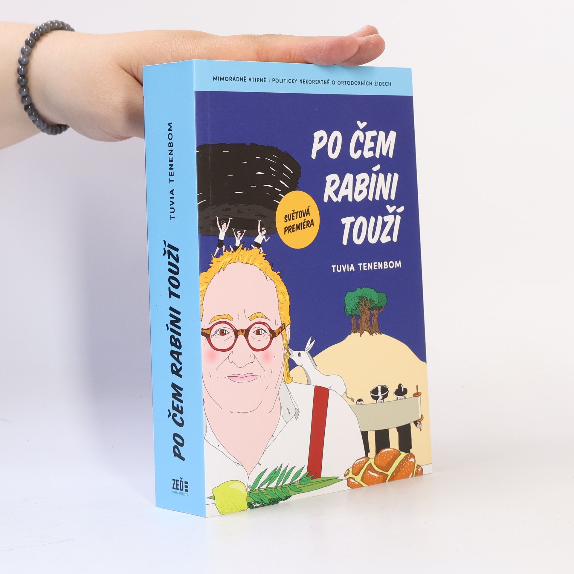 Po čem rabíni touží : mimořádně vtipná i politicky nekorektní zpráva o ortodoxních Židech