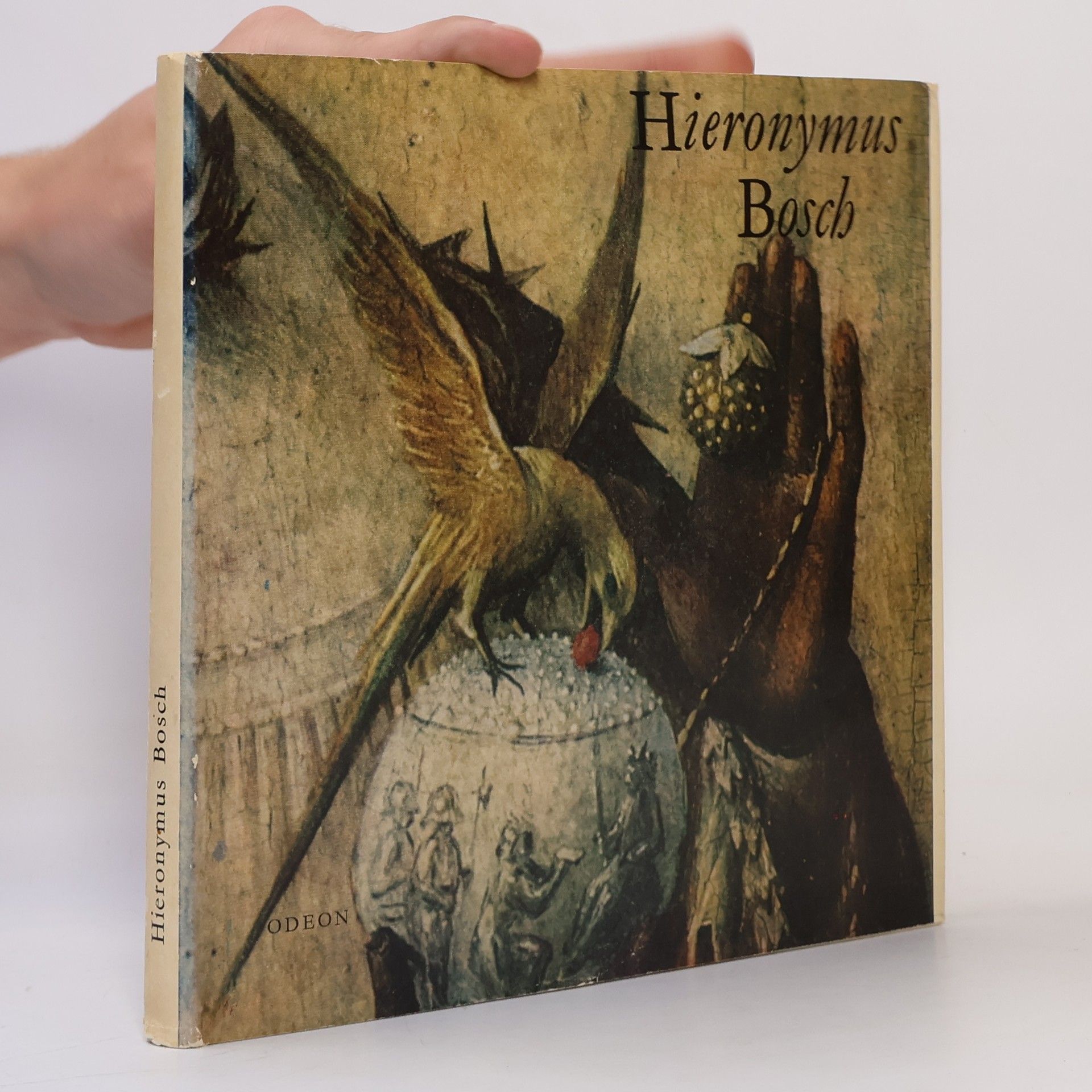 Hana Volavková Hieronymus Bosch