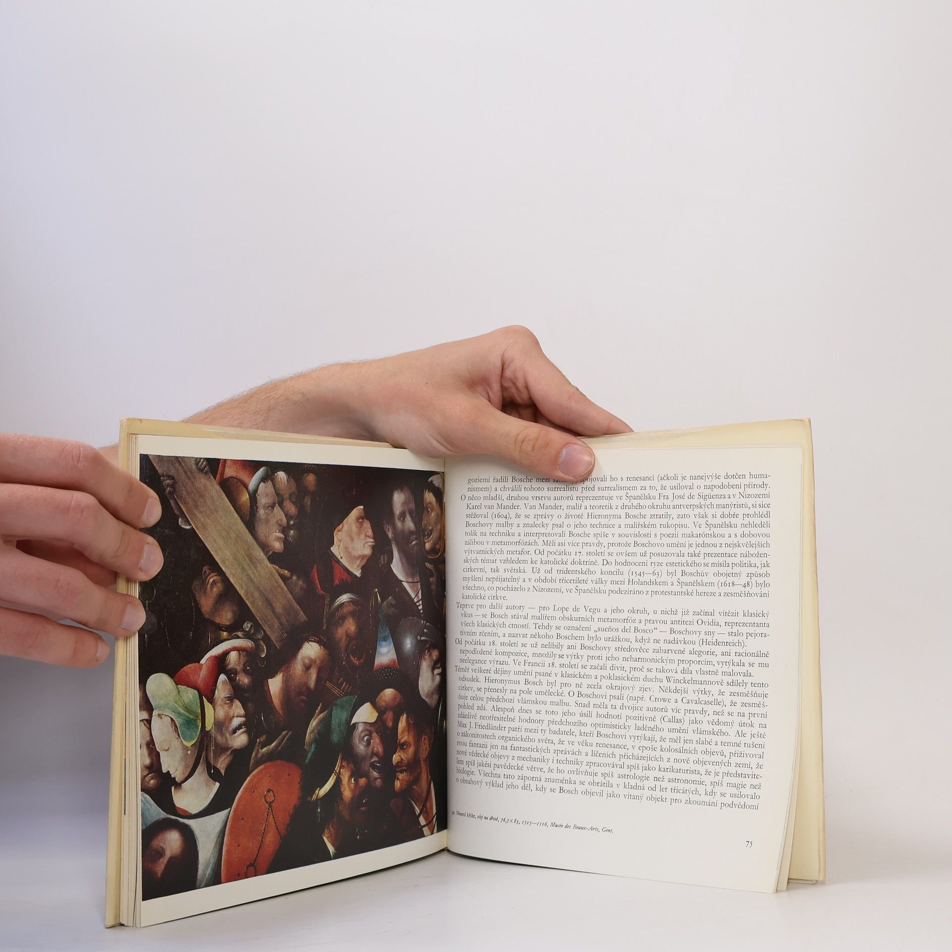 Hana Volavková Hieronymus Bosch