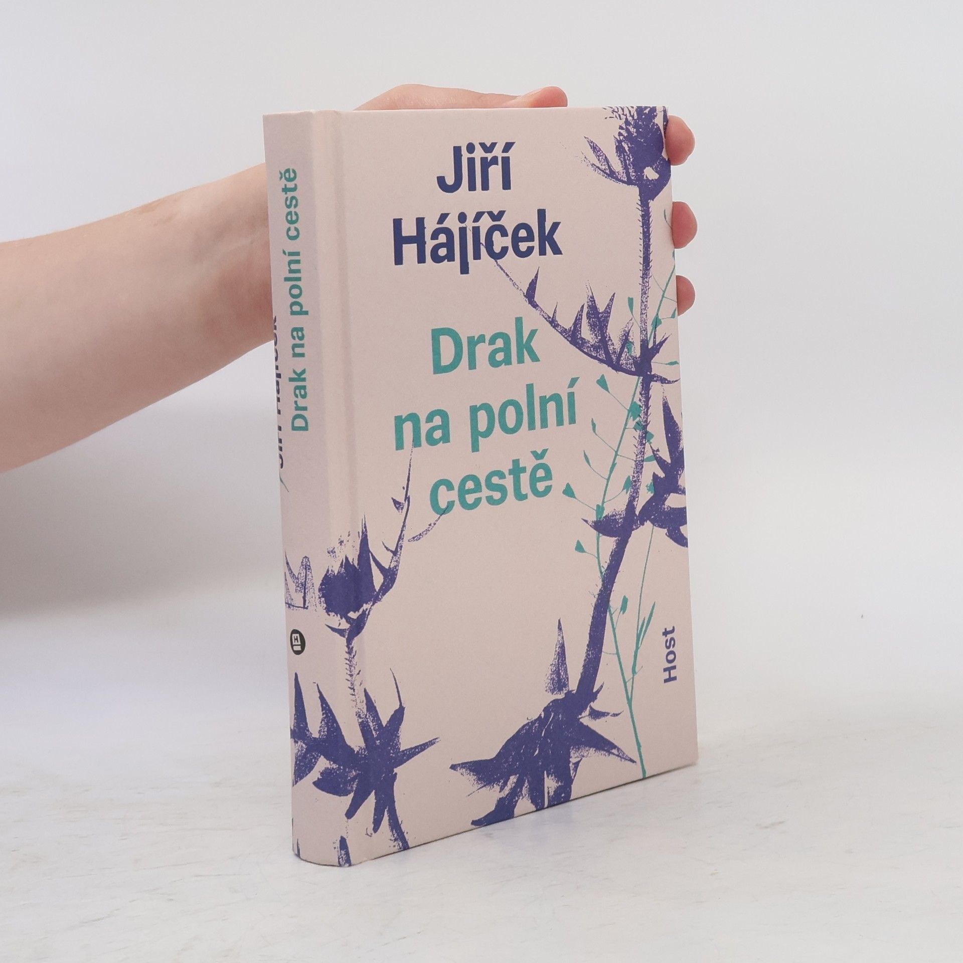 Jiří Hájíček Drak na polní cestě
