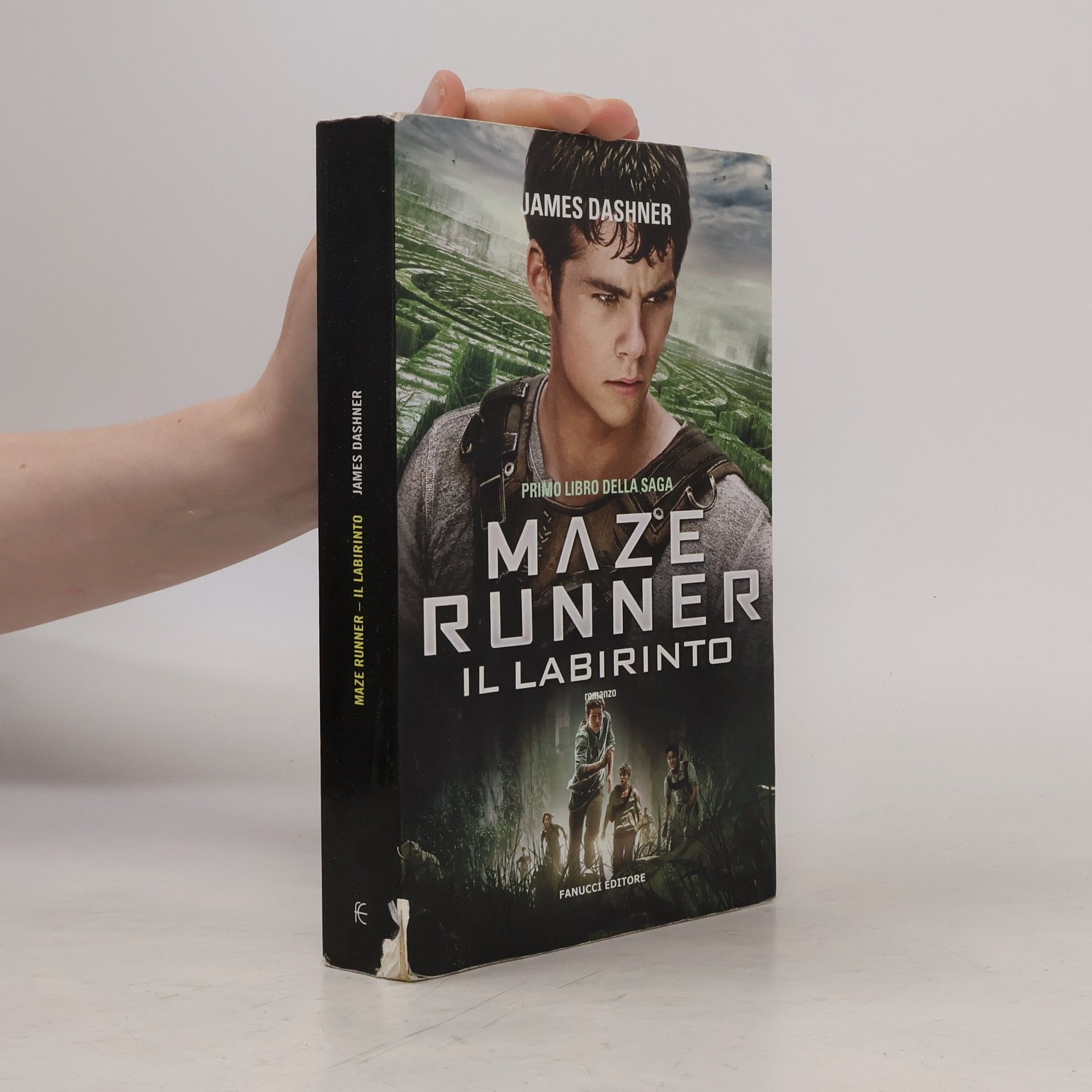 Annalisa Di Liddo Maze Runner. Il labirinto