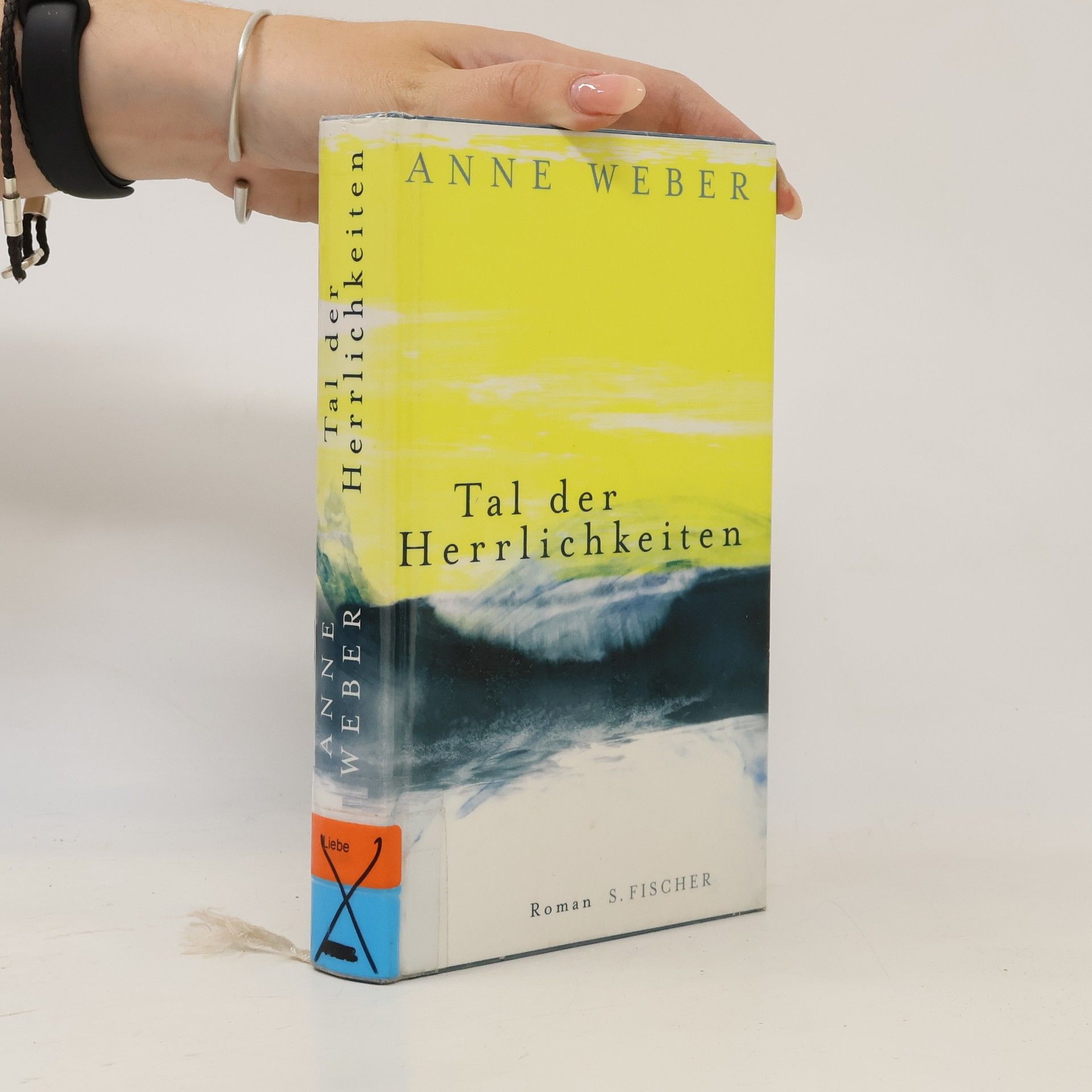 Anne Weber Tal der Herrlichkeiten