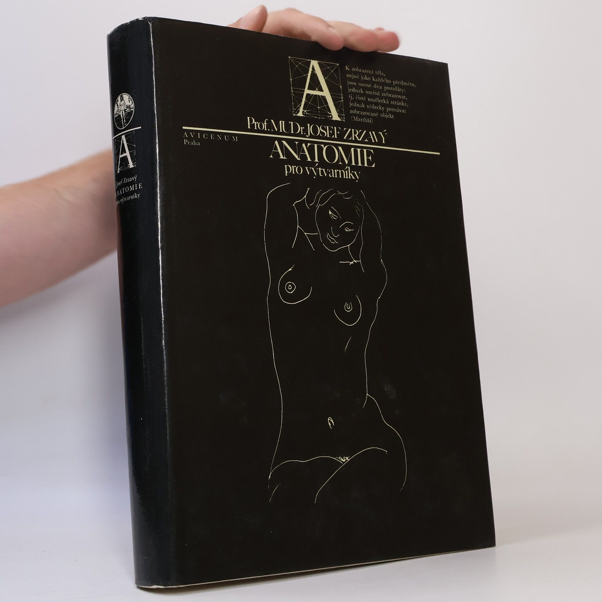Anatomie pro výtvarníky