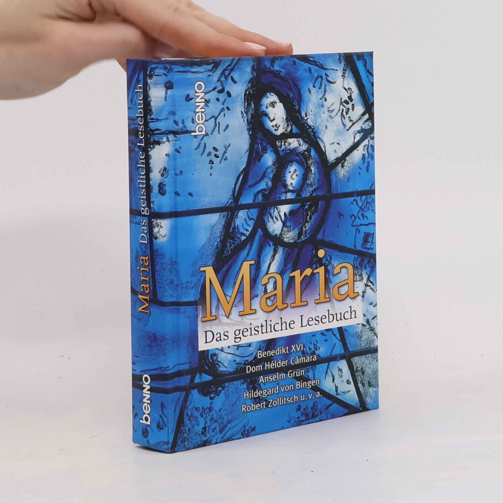 Maria Das geistliche Lesebuch