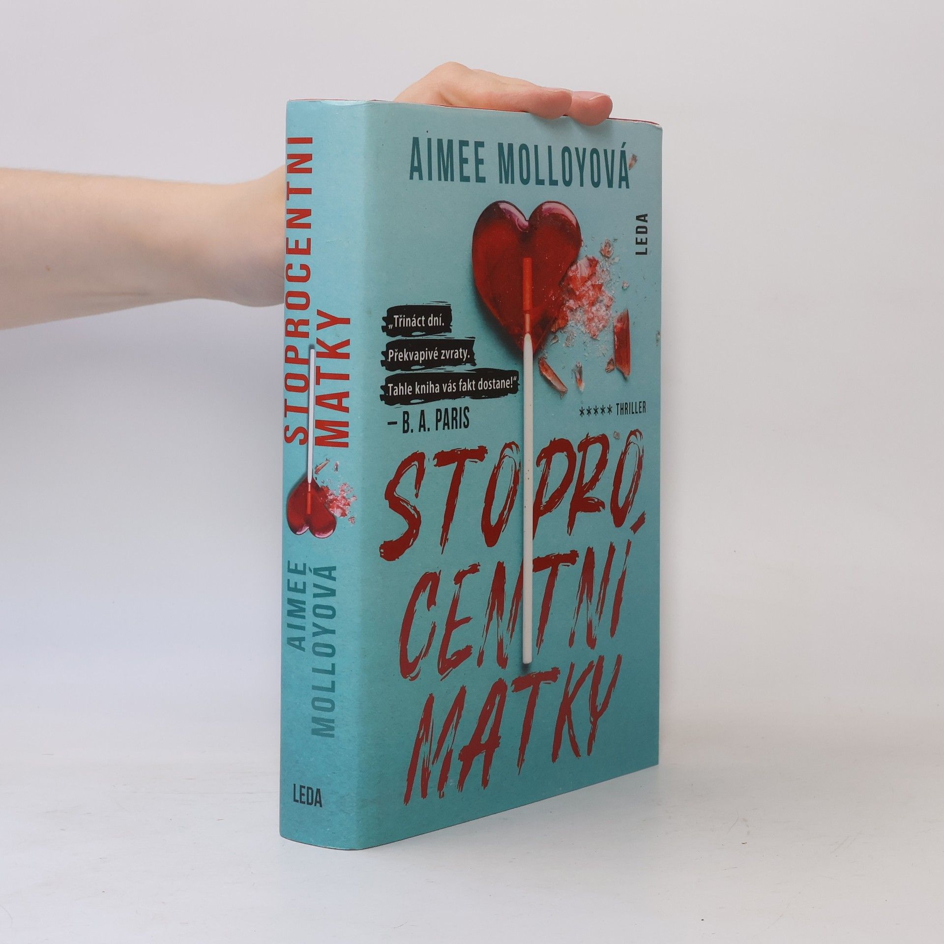 Aimee Molloy Stoprocentní matky