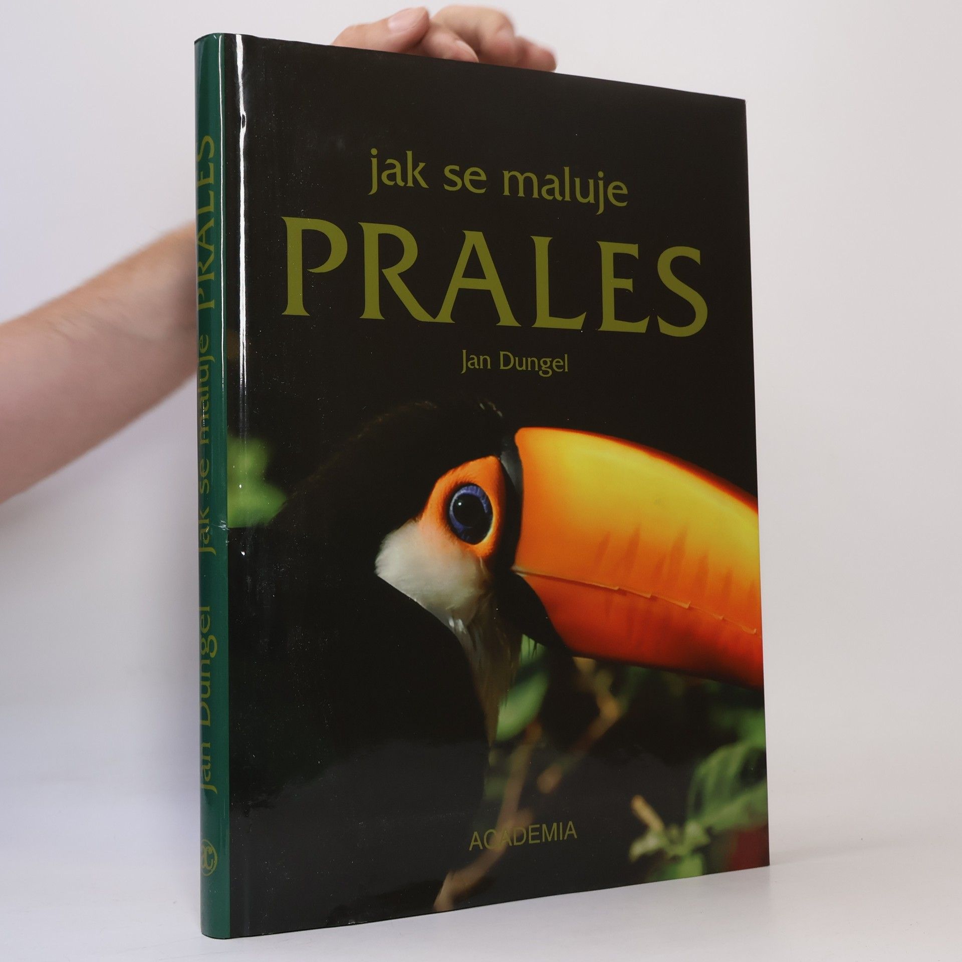 Jan Dungel Jak se maluje prales