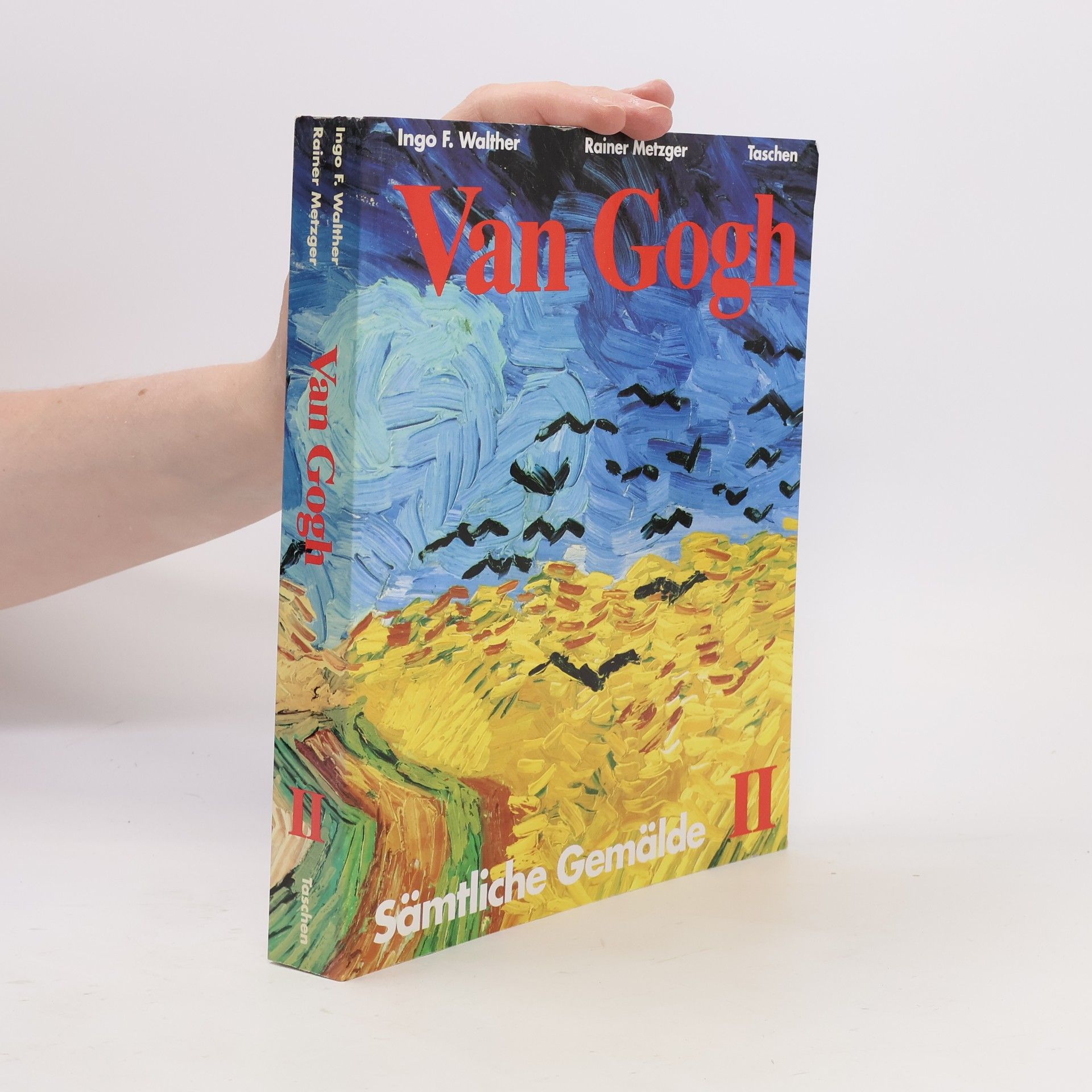 Kolektiv autorů Vincent van Gogh. Sämtliche Gemälde II