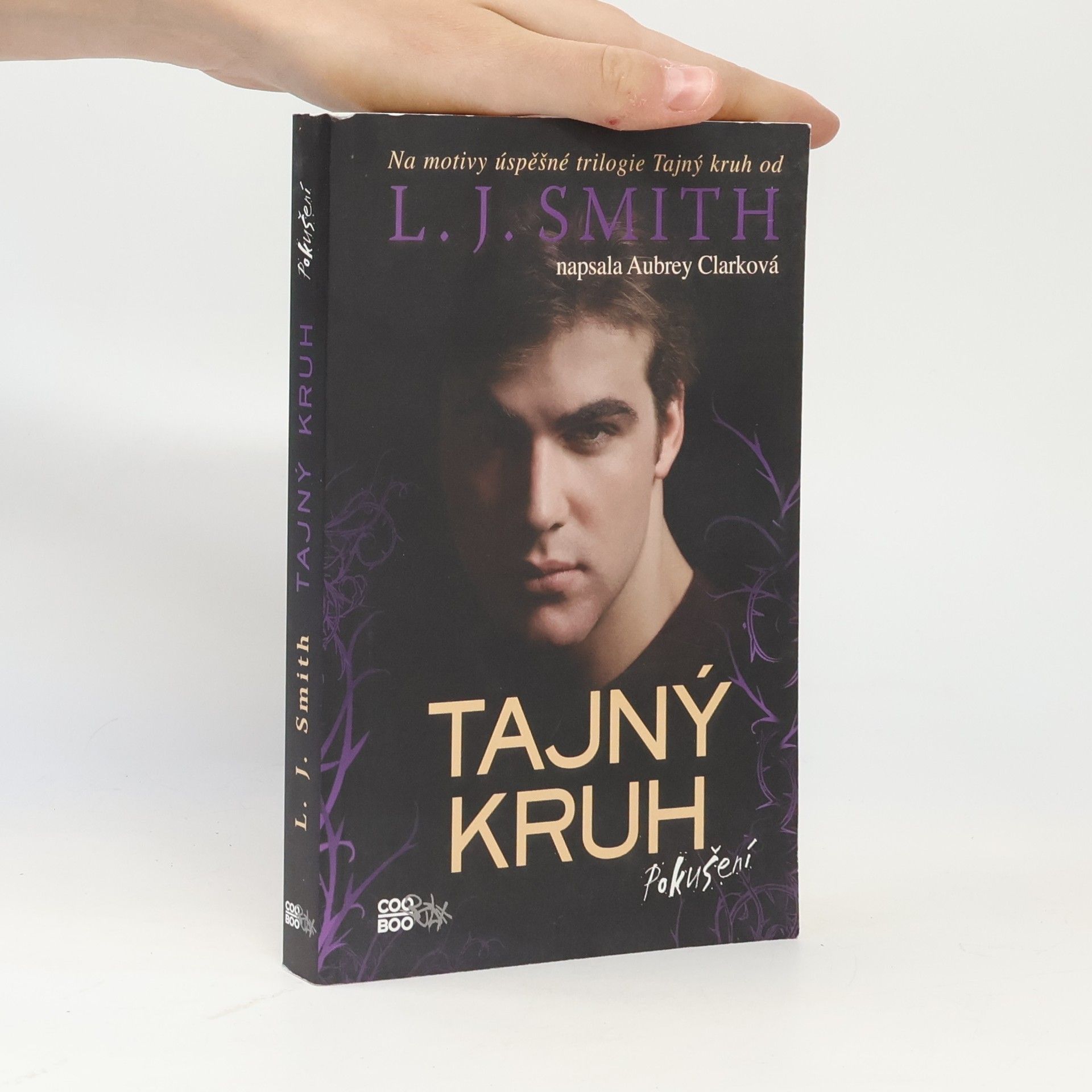 L. J. Smith Tajný kruh. Pokušení