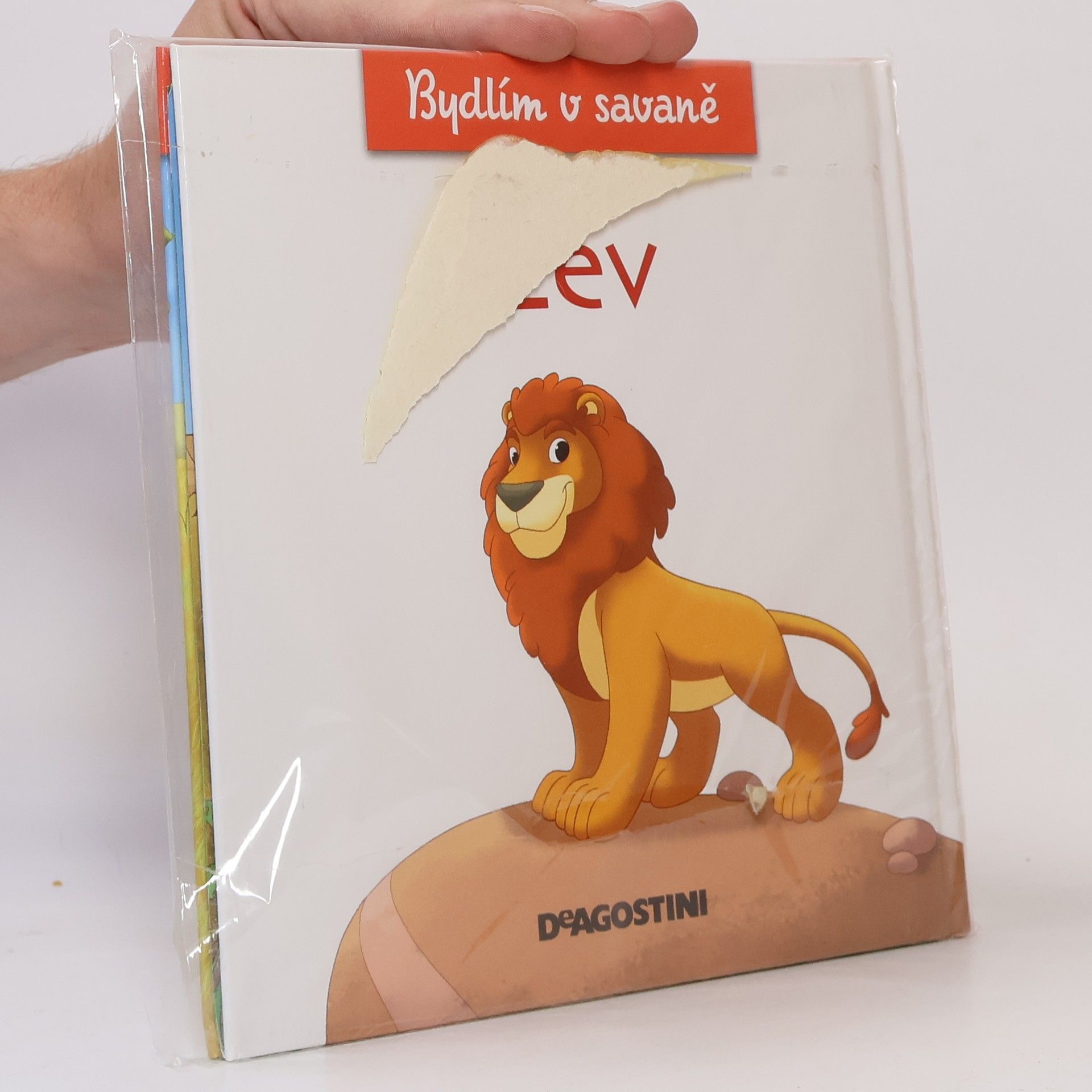 Autorenkollektiv Bydlím v savaně 1. Lev