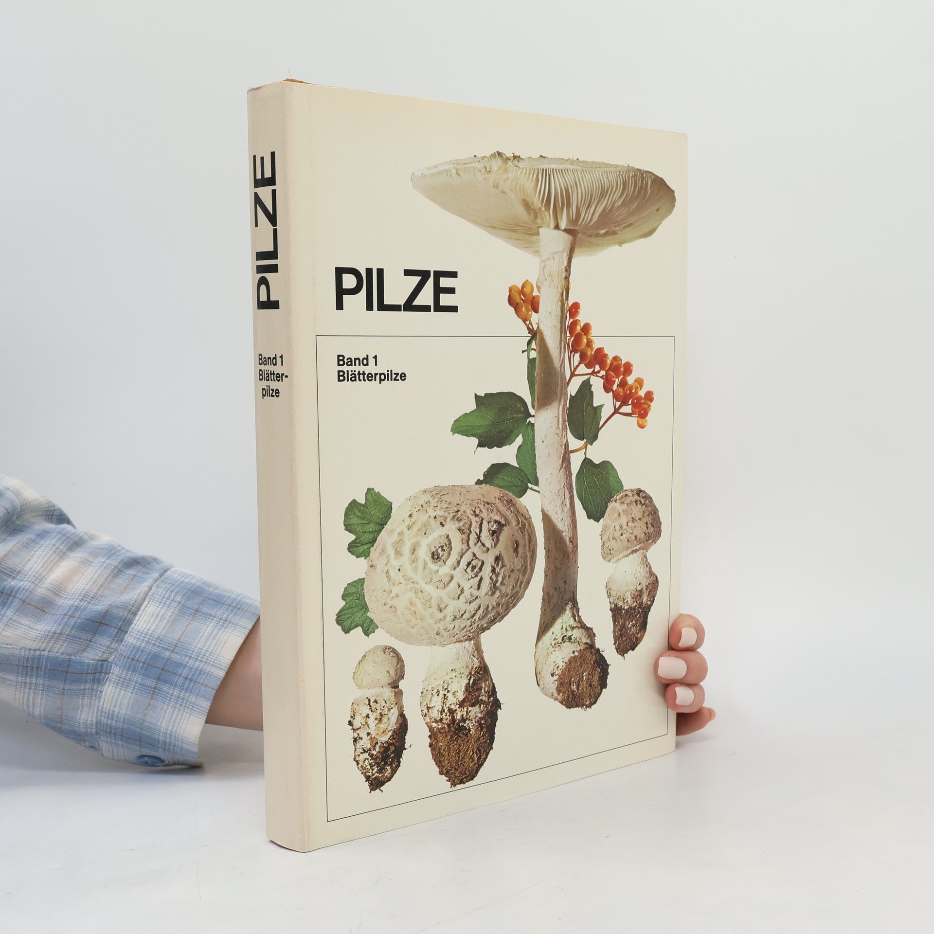 Autorenkollektiv Pilze