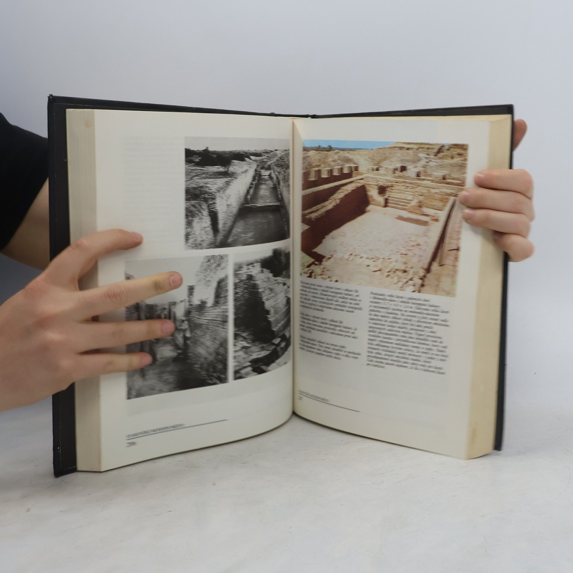 Jaroslav Malina Dvacet nejvýznamnějších archeologických objevů dvacátého století