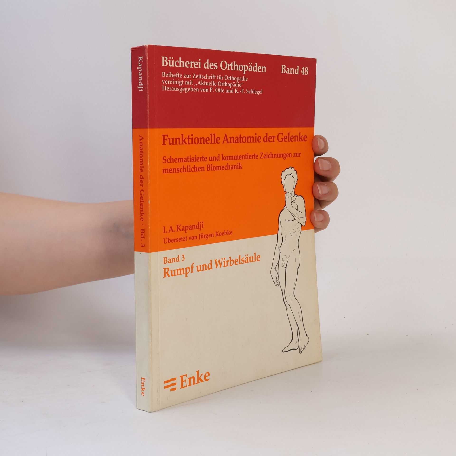 Funktionelle Anatomie der Gelenke