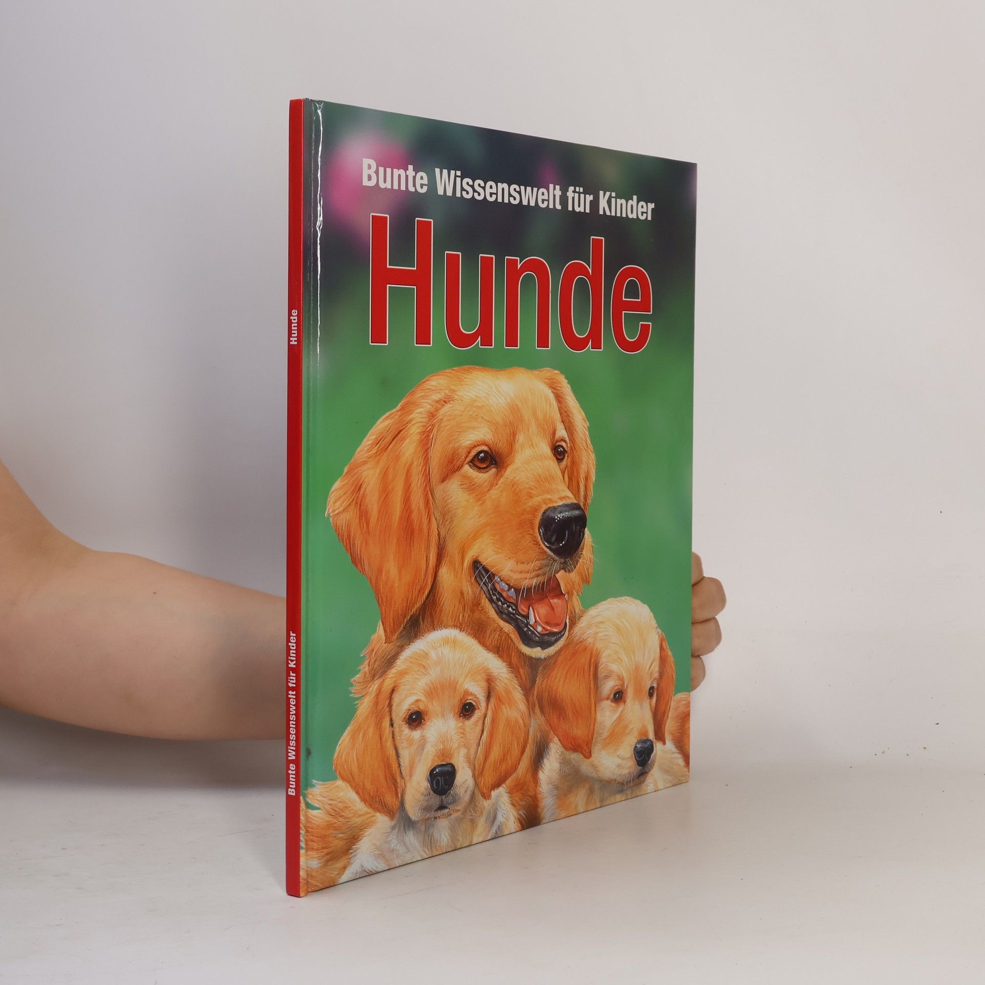 Kolektiv autorů Bunte Wissenswelt für Kinder. Hunde