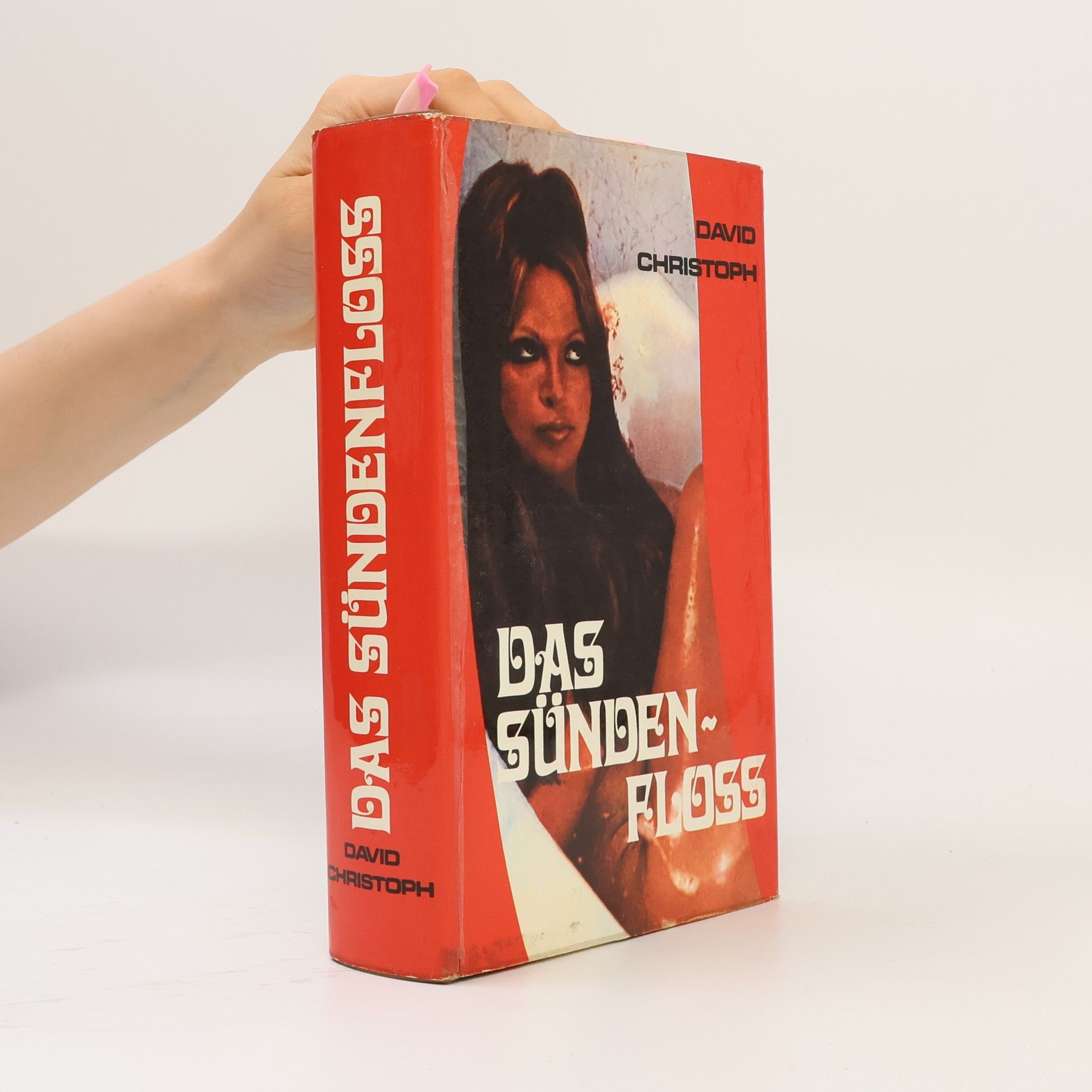 David Christoph Das Sündenfloss
