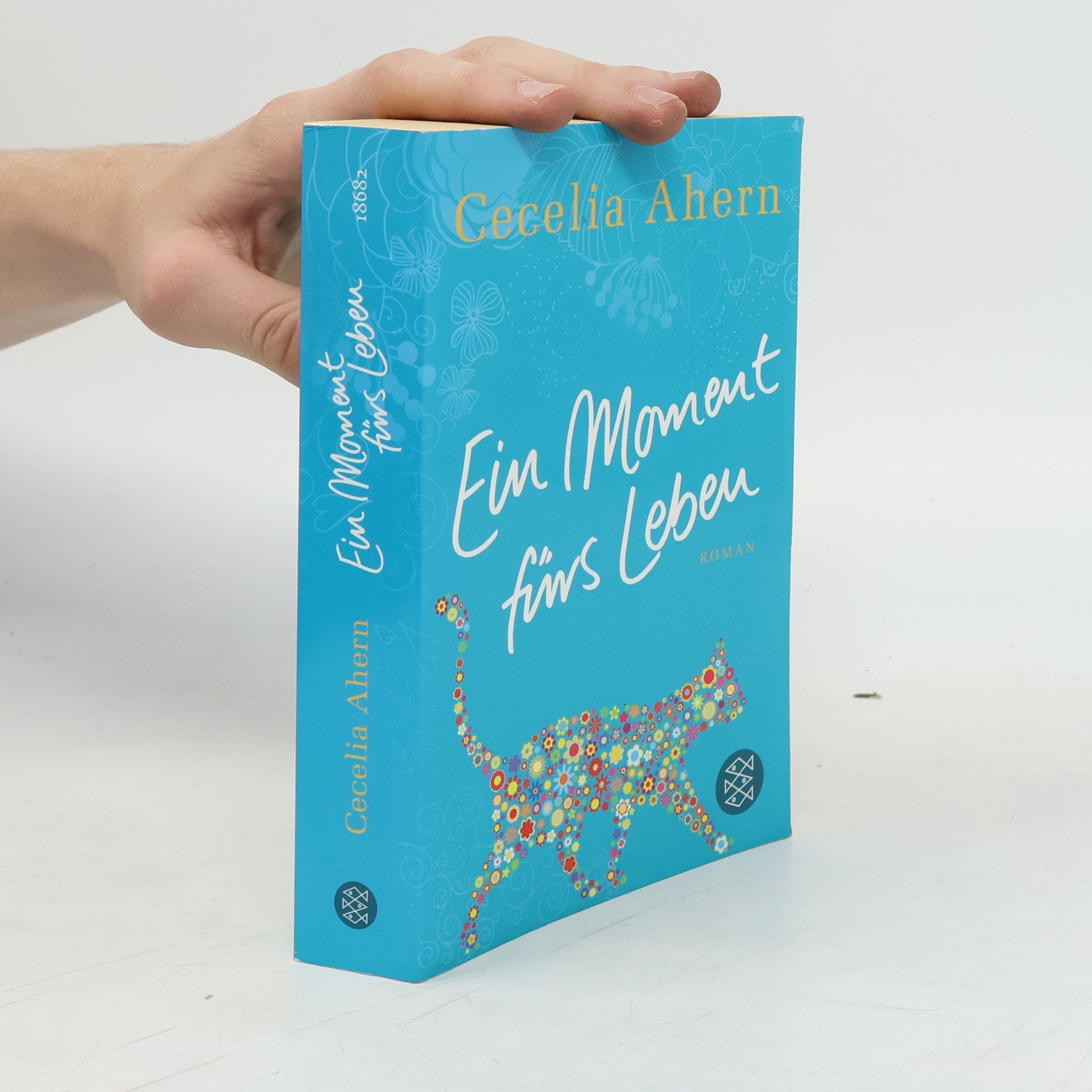 Cecelia Ahern Ein Moment fürs Leben