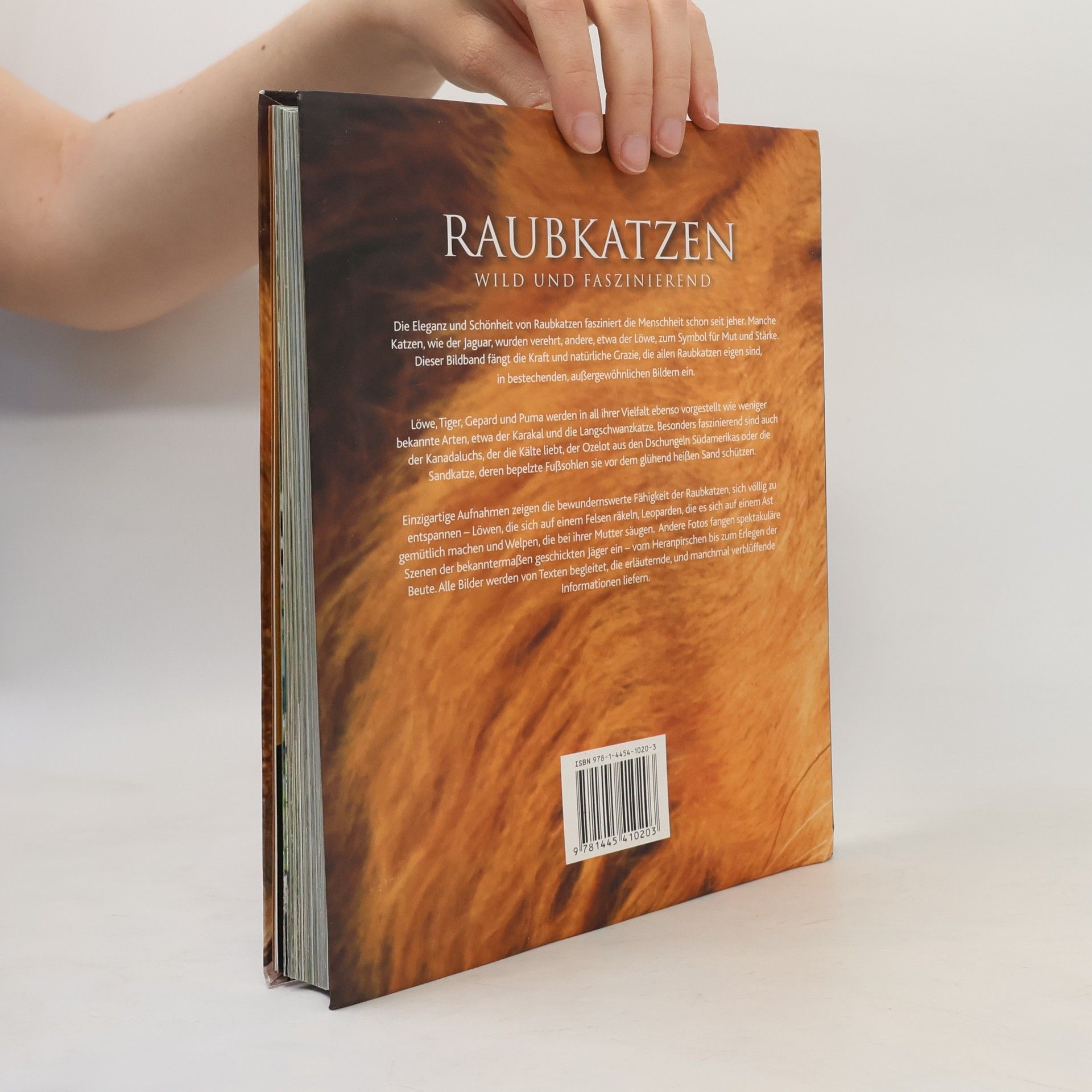 Kolektiv autorů Raubkatzen: Wild und faszinierend