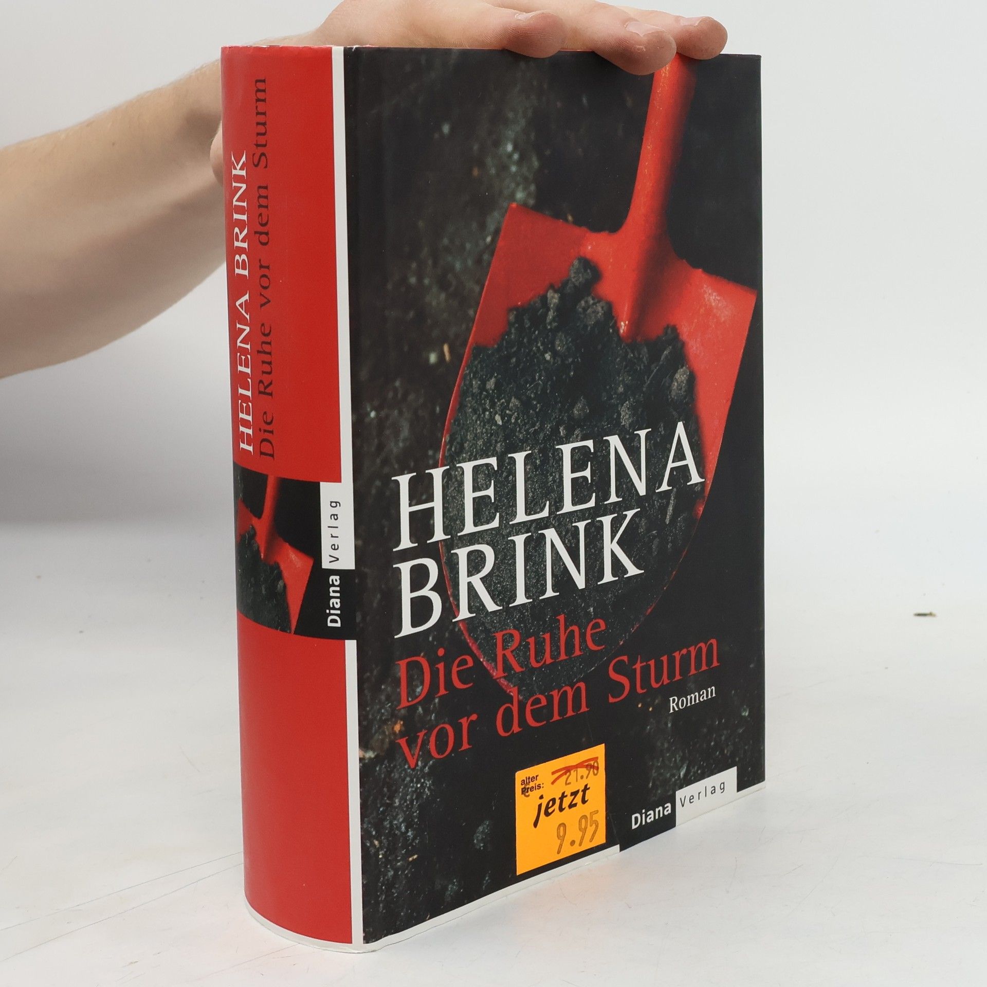 Brink Helena Die Ruhe vor dem Sturm