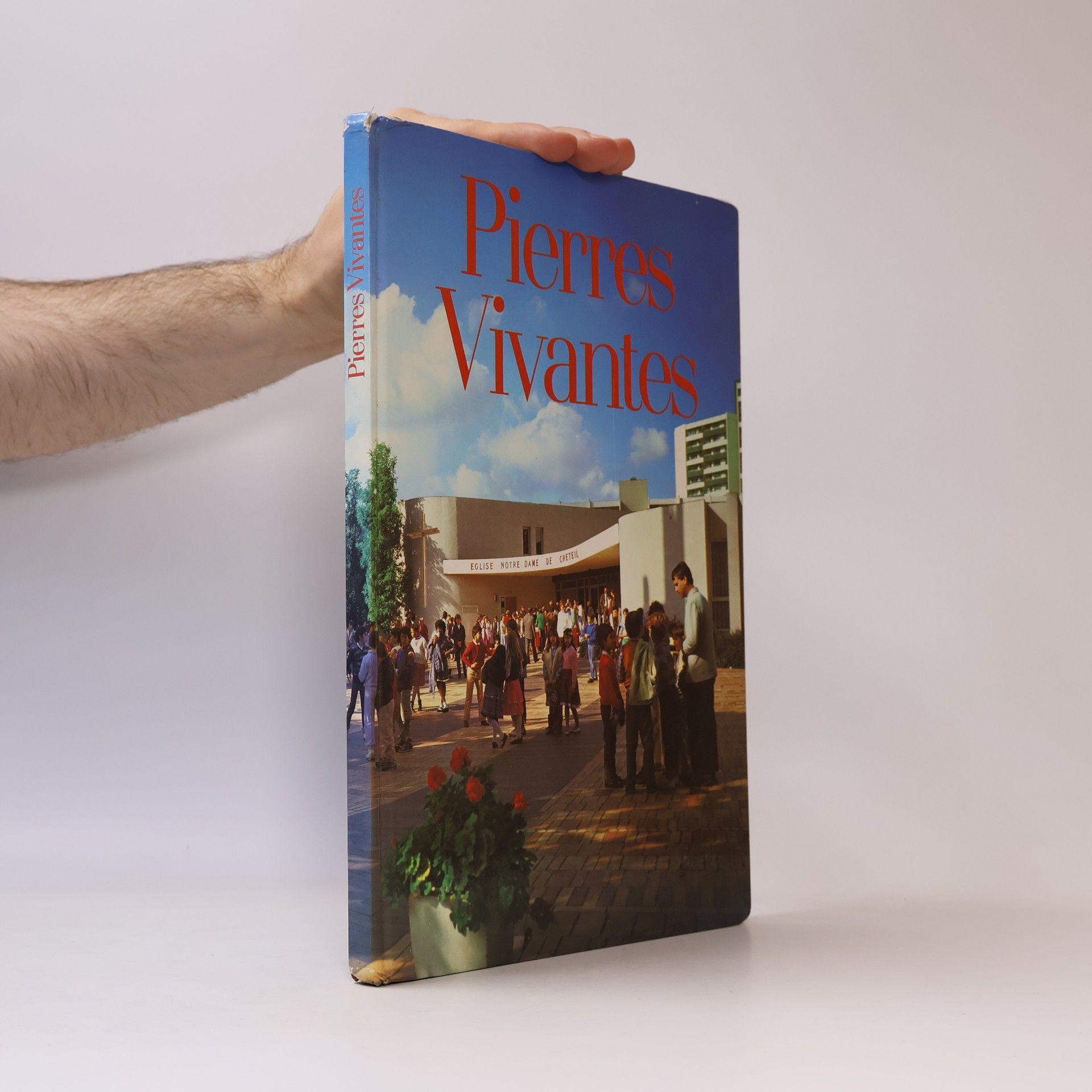 Catechese 80 Pierres vivantes