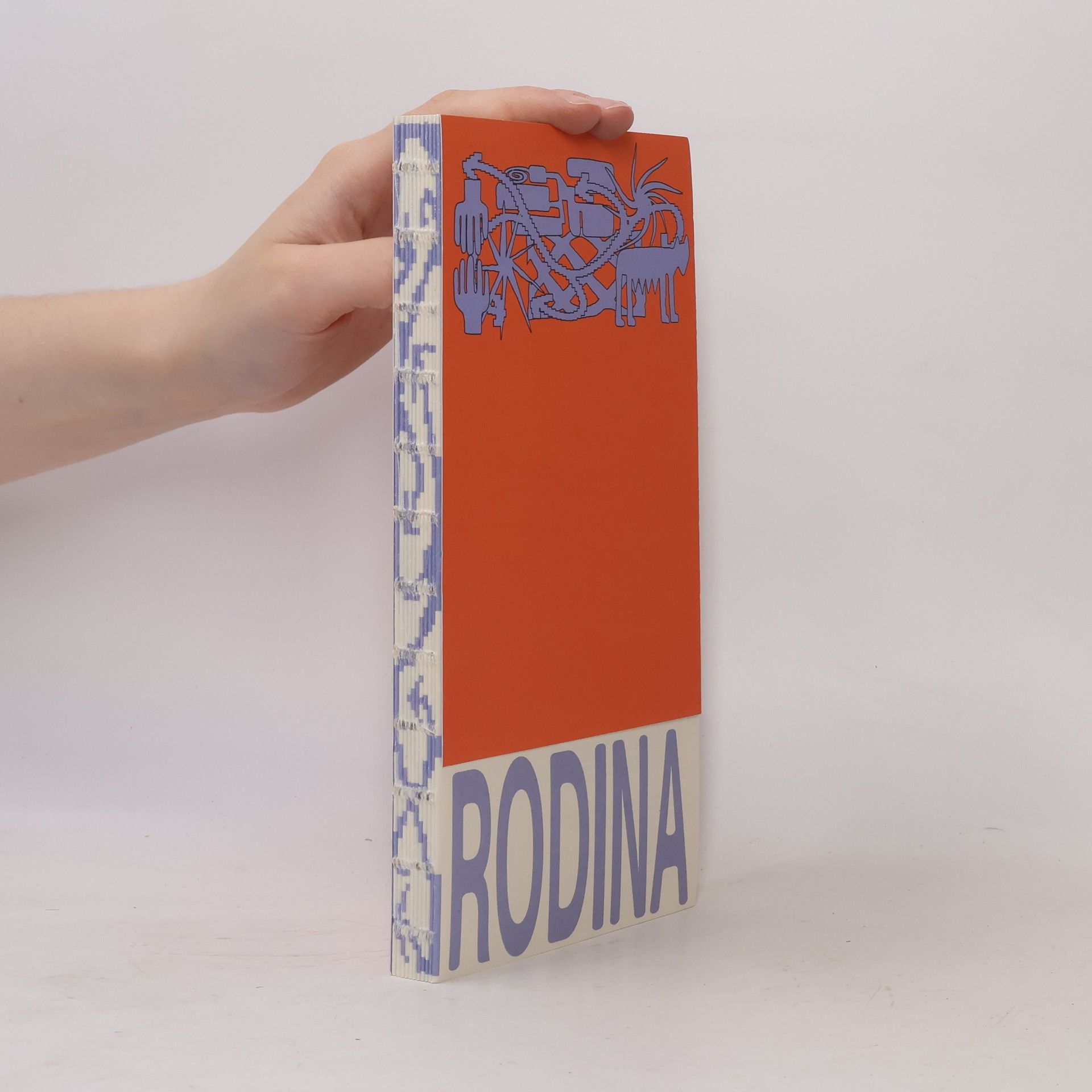 Kolektiv autorů Nejen nukleární rodina
