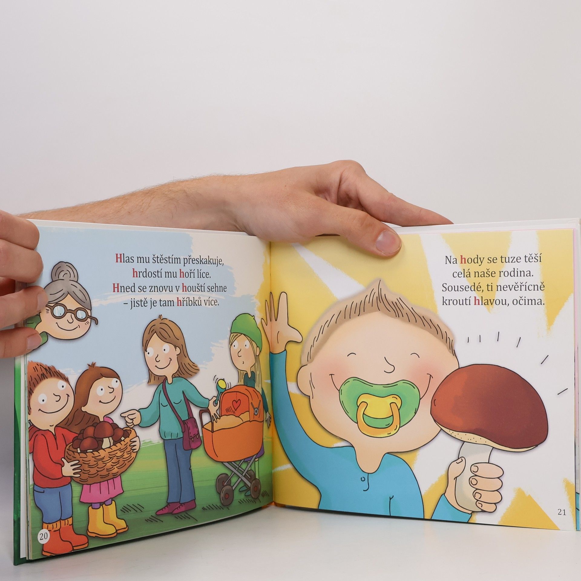 Autorenkollektiv H jako hříbek