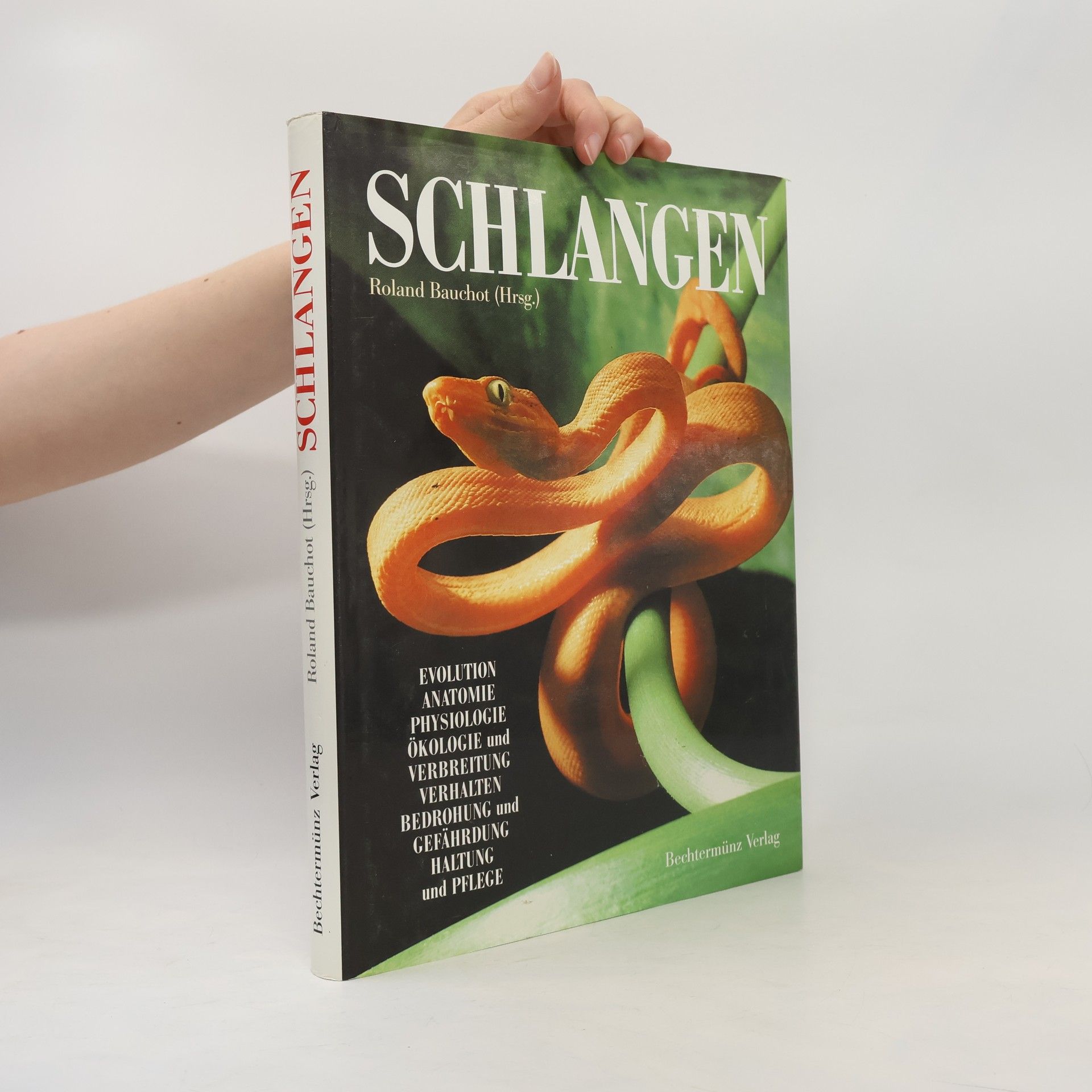 Schlangen