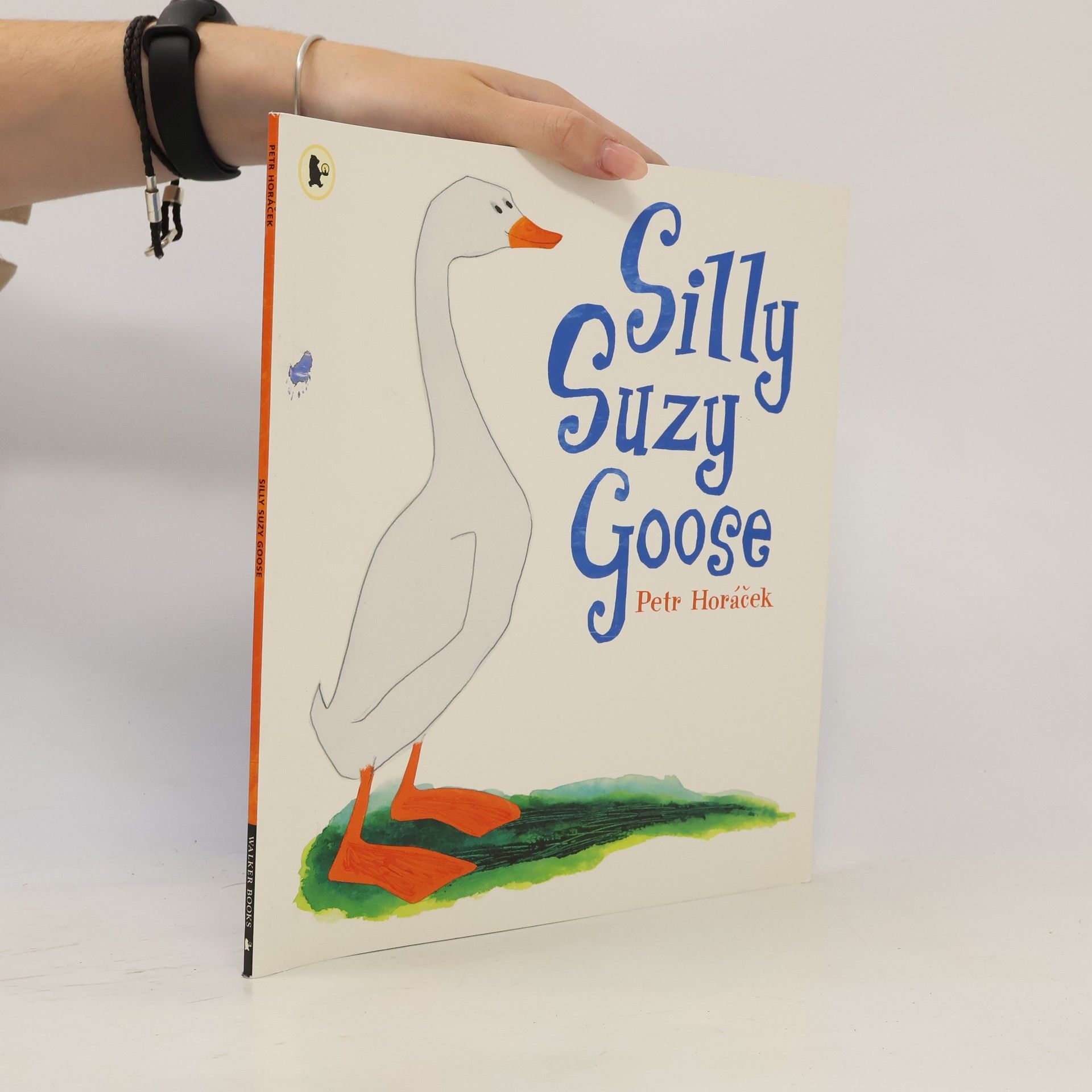 Petr Horáček Silly Suzy Goose