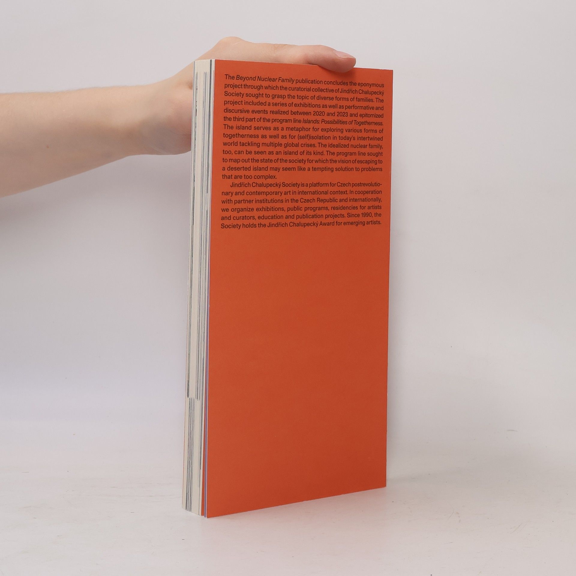 Autores varios Nejen nukleární rodina