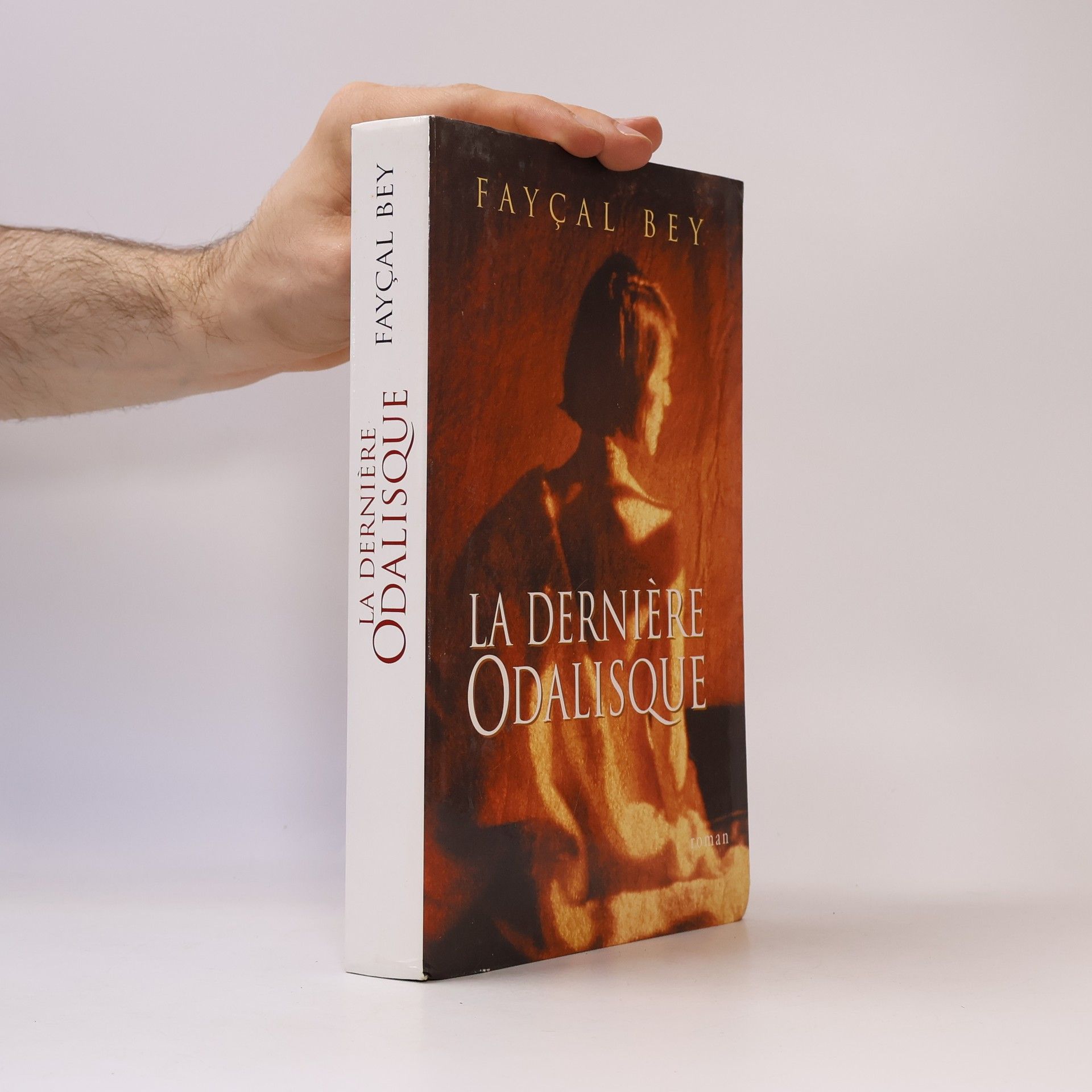 La Dernière Odalisque