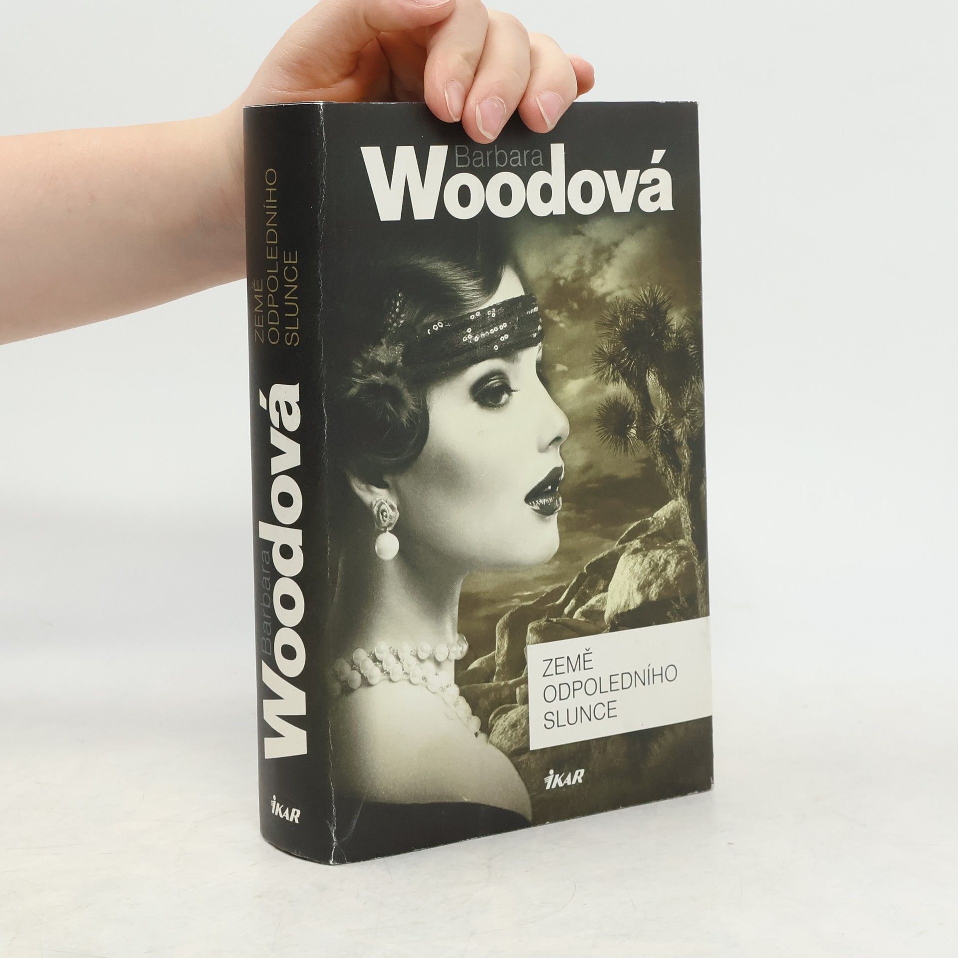 Barbara Wood Země odpoledního slunce