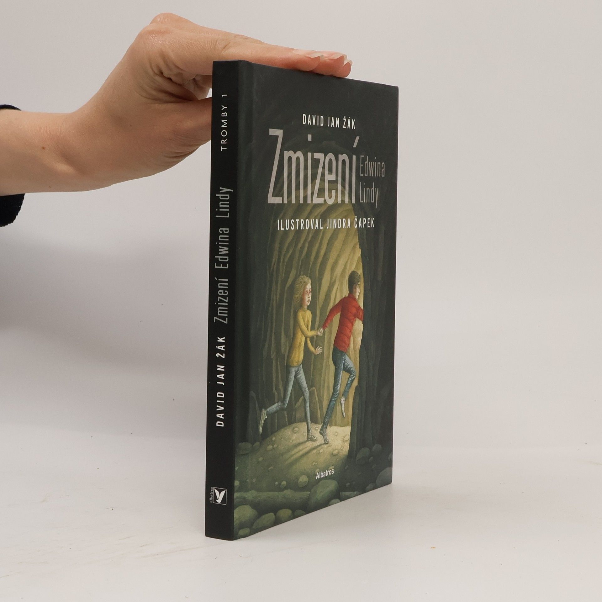 David Jan Žák Zmizení Edwina Lindy