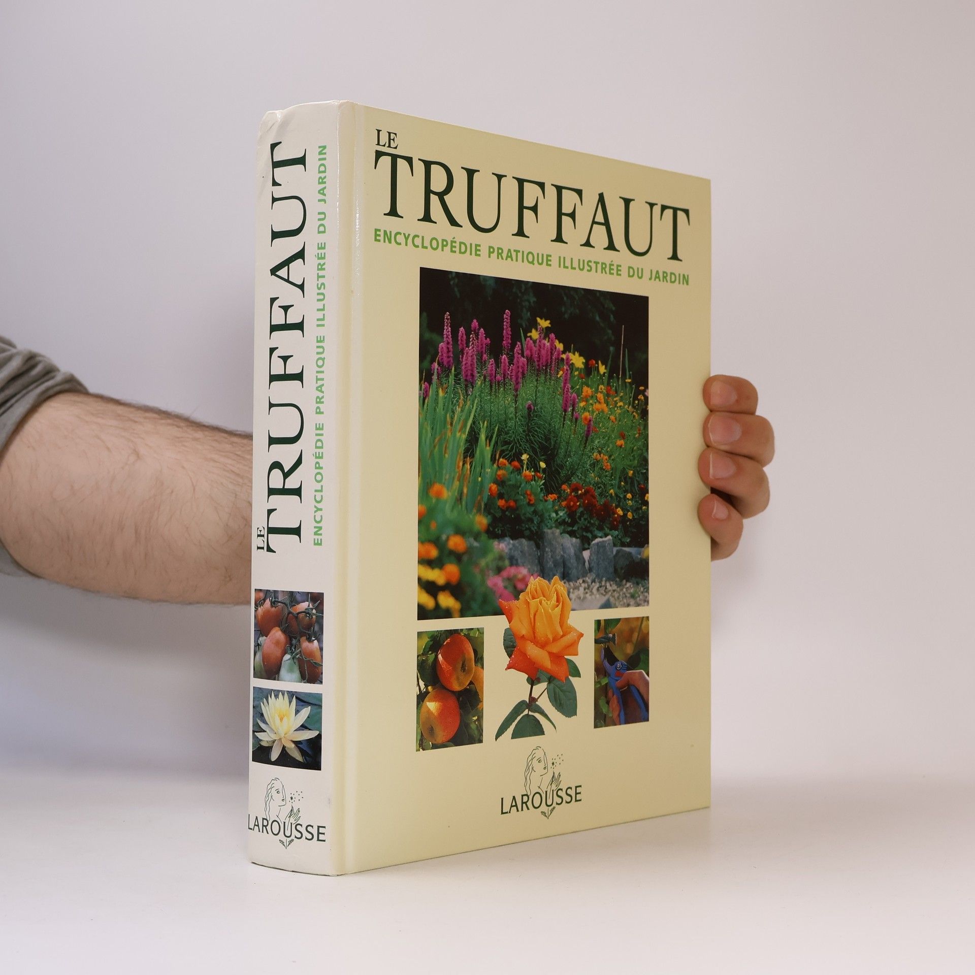 Patrick Mioulane Le Truffaut