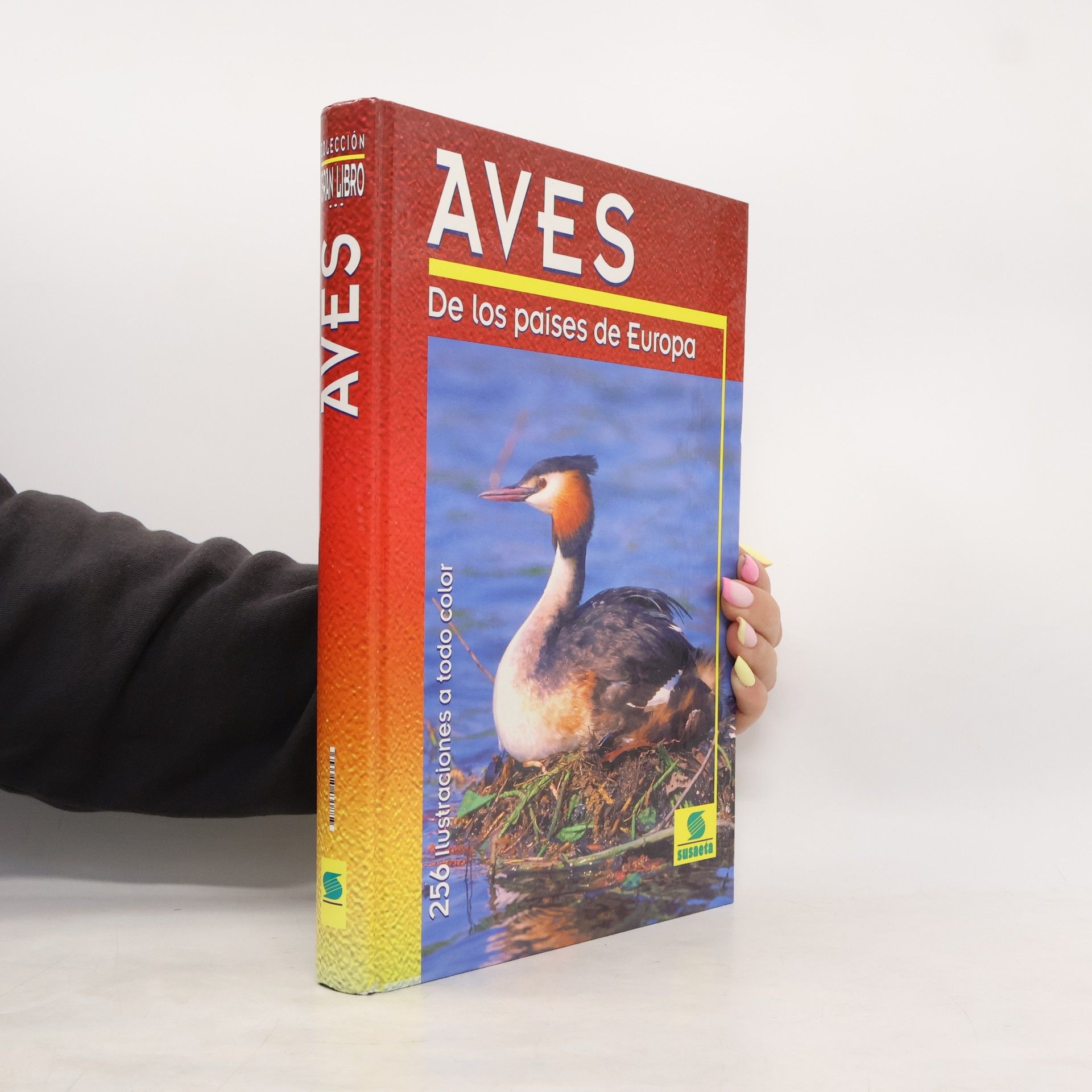 J Felix Aves de los países de Europa